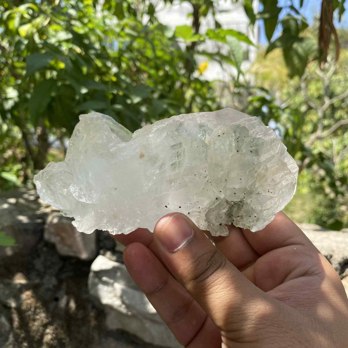 Collector Green Chlorite Himalayan Quartz Natural Raw Mineral Specimen