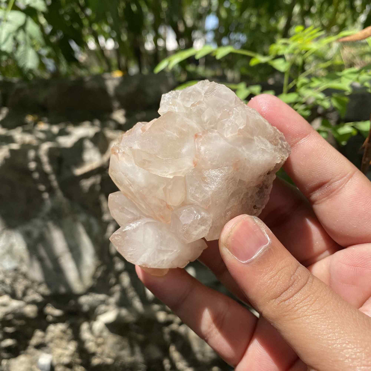 170g Pink Himalayan Quartz Cluster Natural Collector Mineral Piece