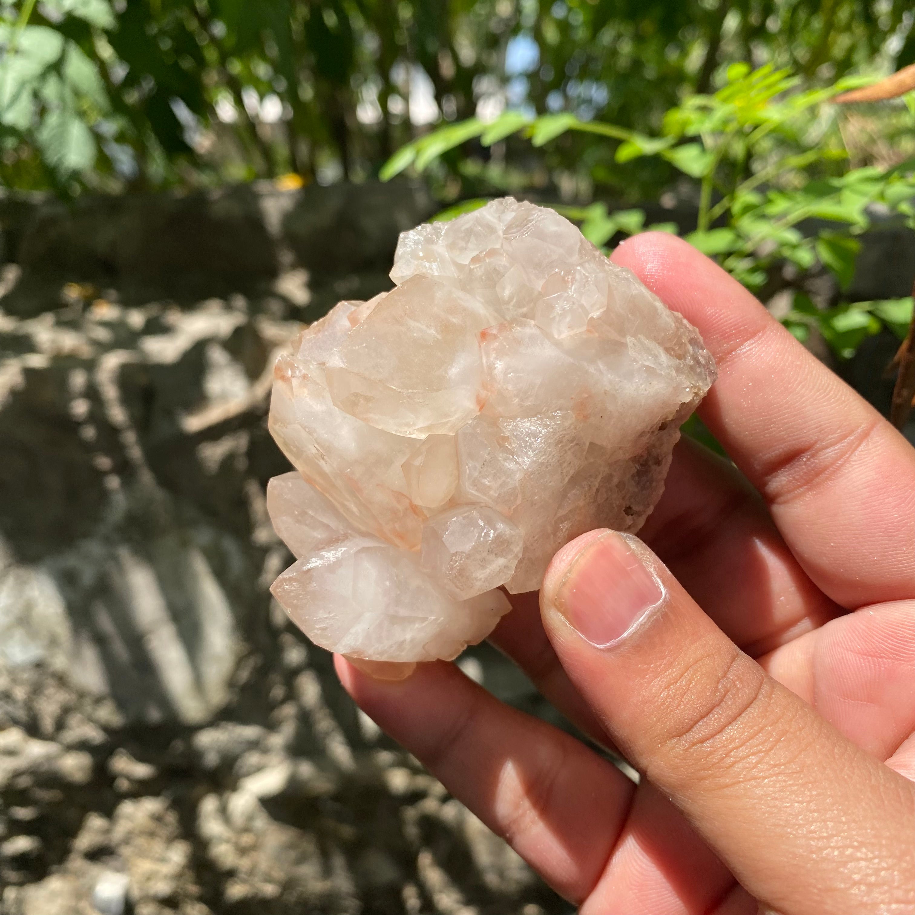 Natural Pink Quartz Cluster 170g Himalayan Raw Crystal Healing Stone Mineral Specimen Home Décor