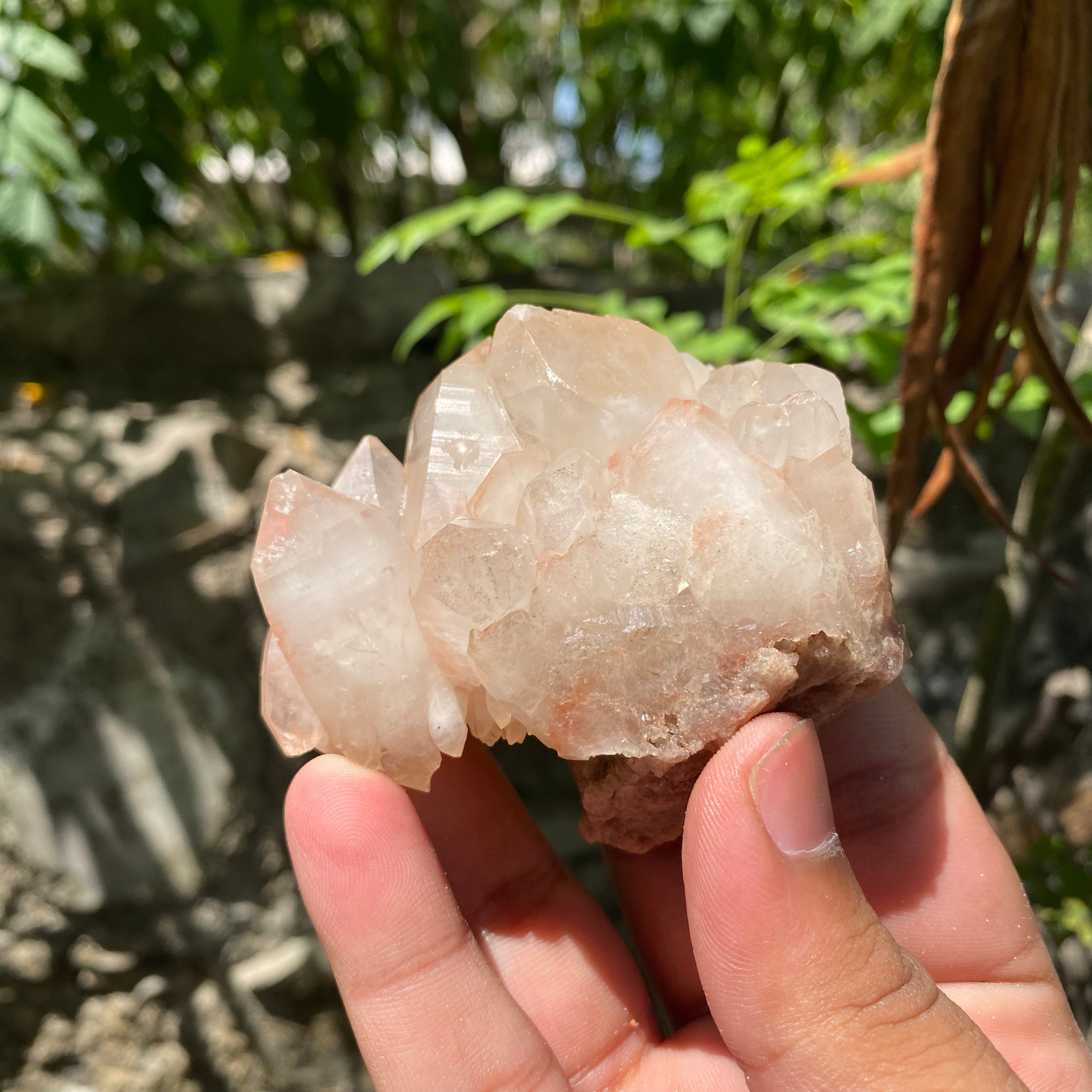 Natural Pink Quartz Cluster 170g Himalayan Raw Crystal Healing Stone Mineral Specimen Home Décor