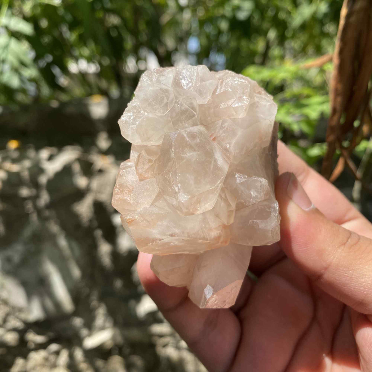 170g Pink Himalayan Quartz Cluster Natural Collector Mineral Piece