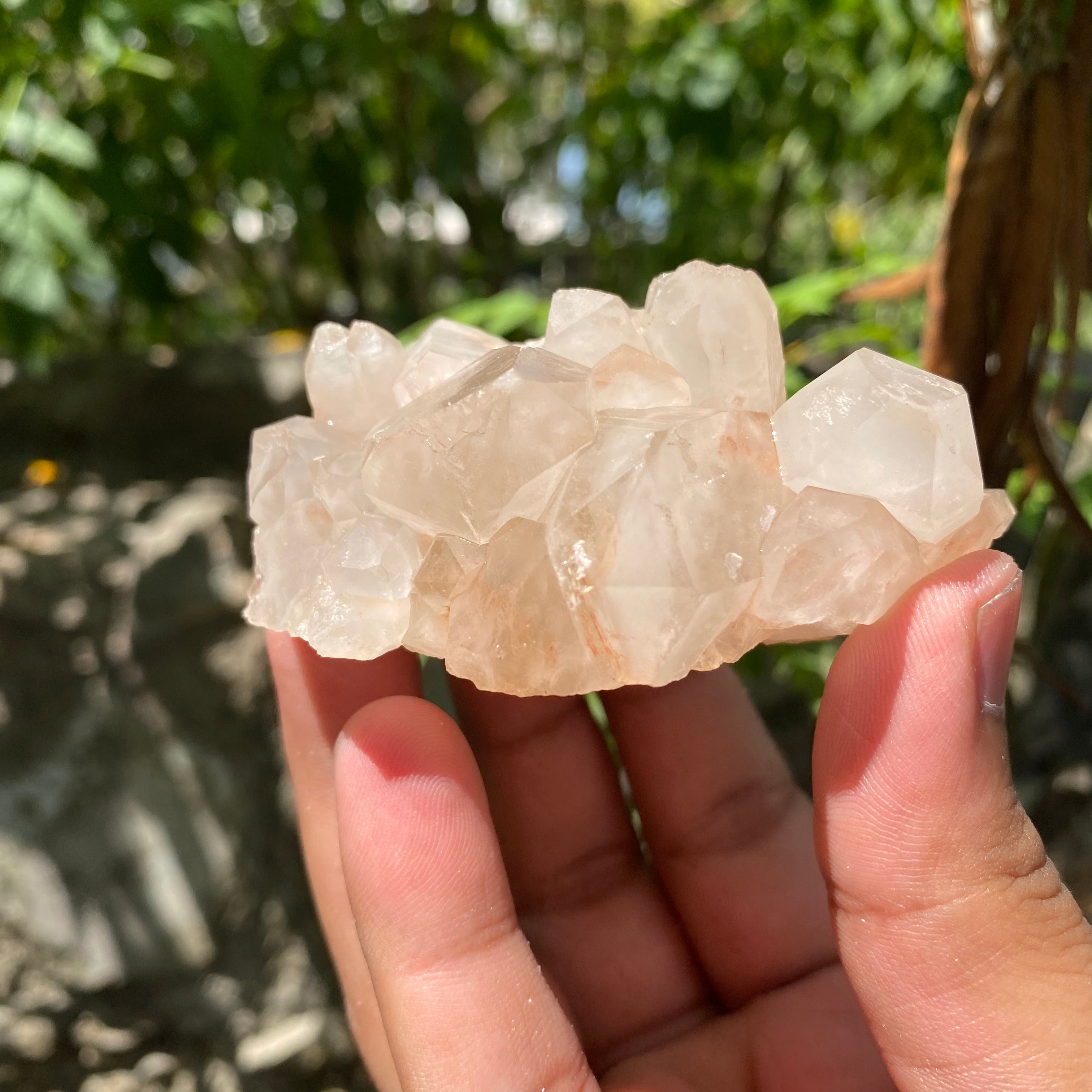 Natural Pink Quartz Cluster 170g Himalayan Raw Crystal Healing Stone Mineral Specimen Home Décor