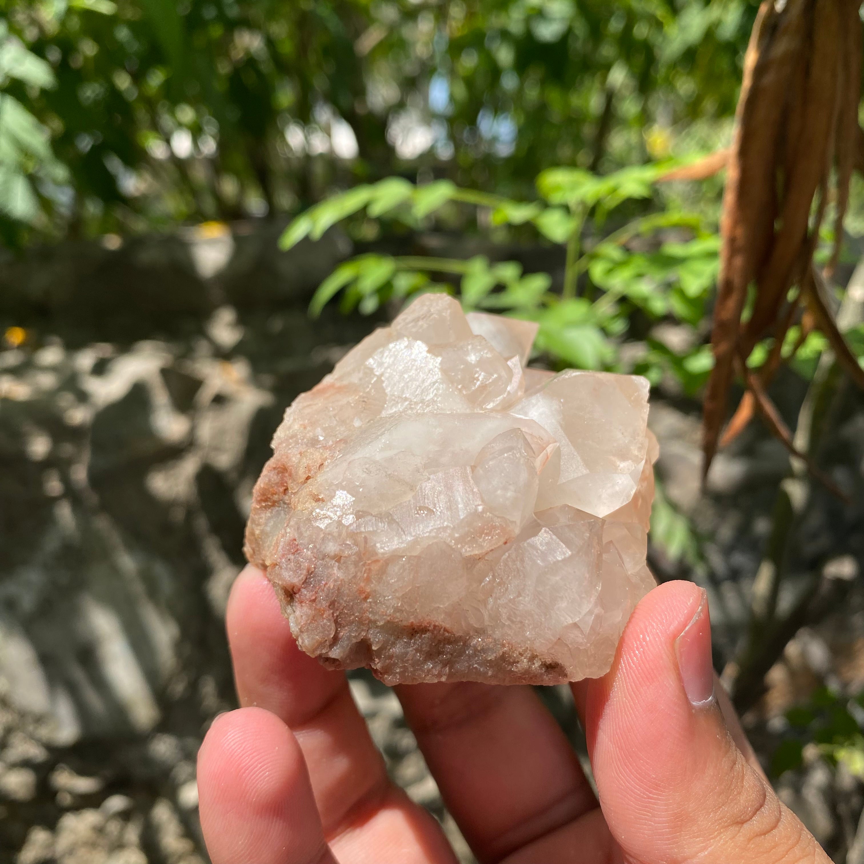 Natural Pink Quartz Cluster 170g Himalayan Raw Crystal Healing Stone Mineral Specimen Home Décor