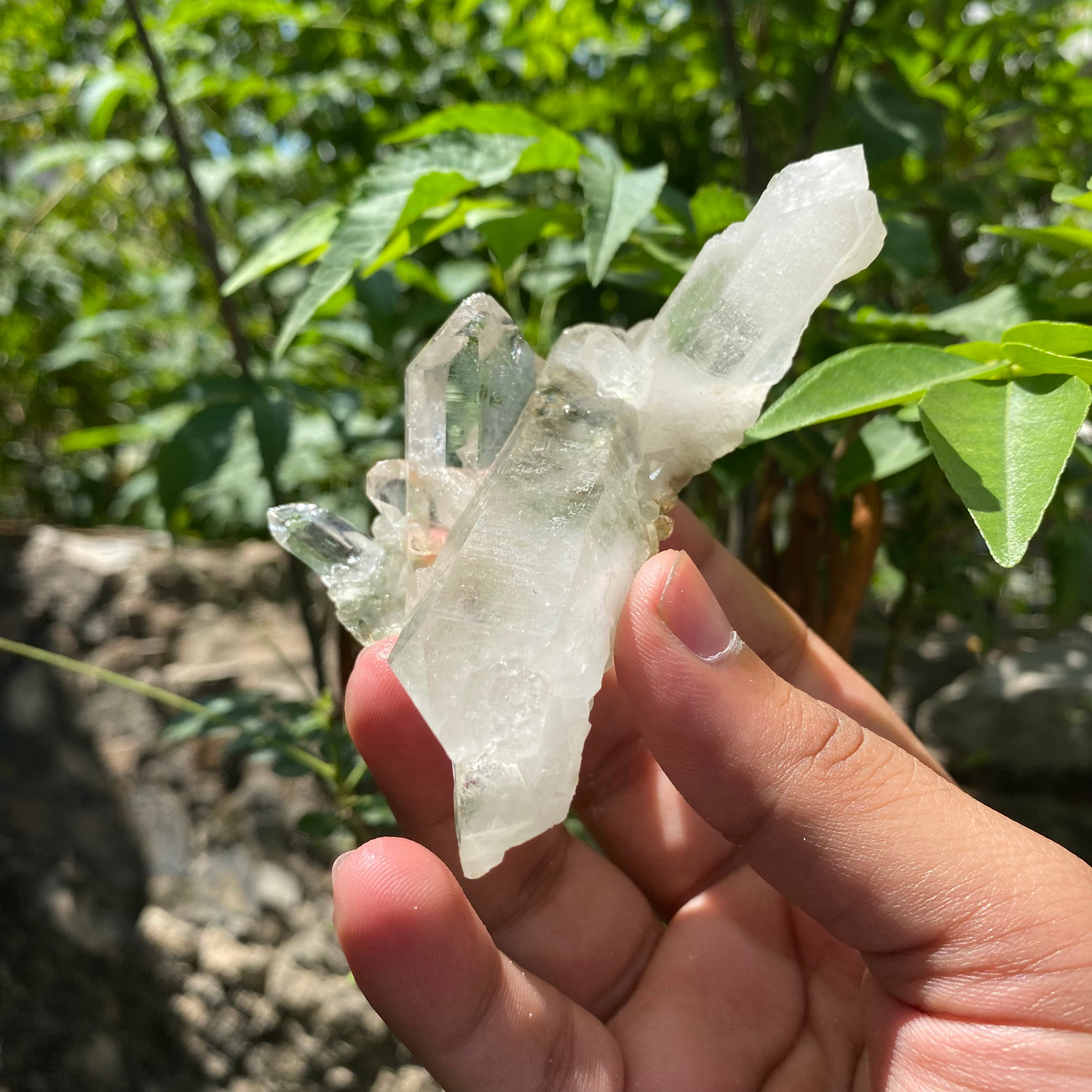 Green Chlorite Quartz Crystal Cluster 110g Natural Himalayan Raw Healing Stone Mineral Specimen Décor