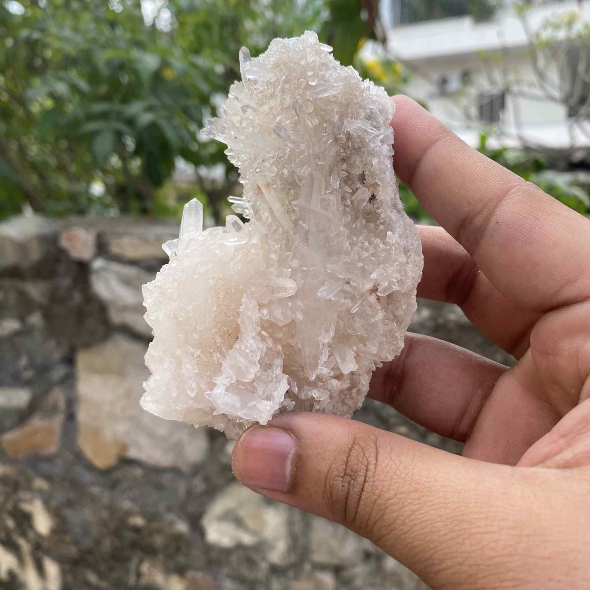210g White Himalayan Quartz Natural Raw Cluster Collector Piece