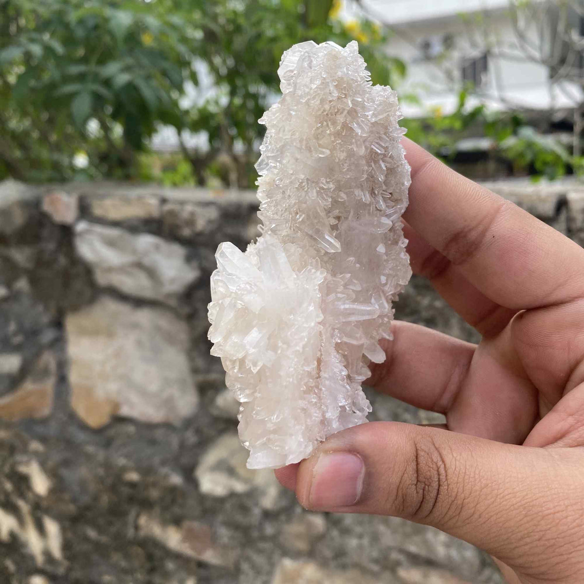 210g White Himalayan Quartz Natural Raw Cluster Collector Piece