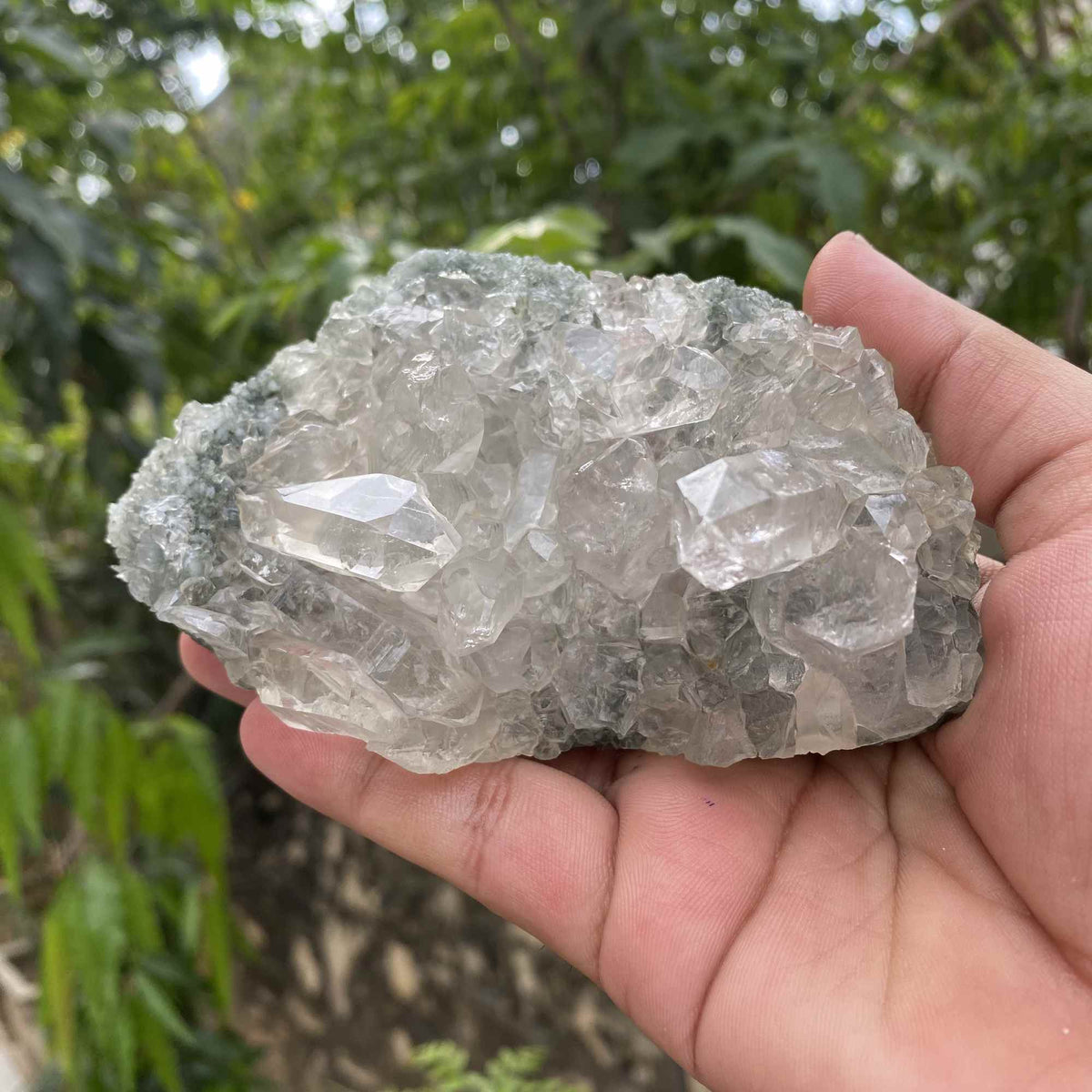 Collector Himalayan Green Chlorite Quartz Cluster Natural Raw Specimen