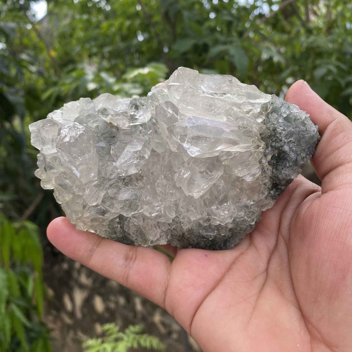 Collector Himalayan Green Chlorite Quartz Cluster Natural Raw Specimen