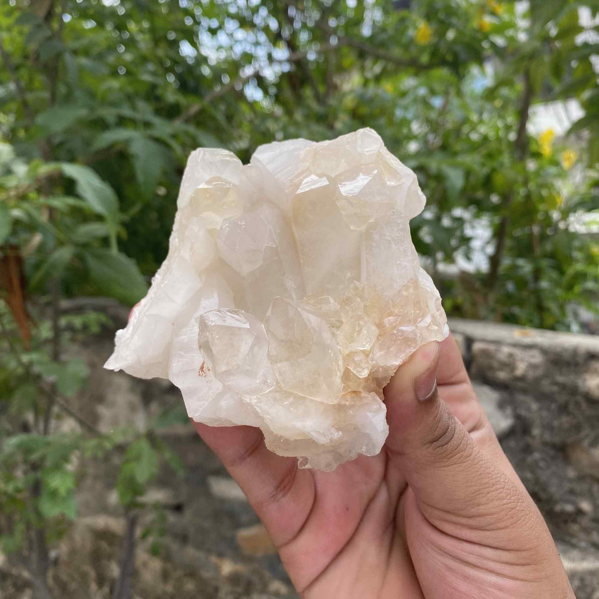 380g Himalayan White Quartz Natural Cluster Raw Collector Specimen