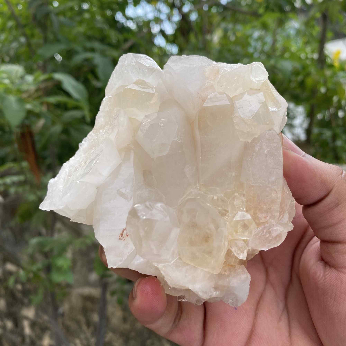 380g Himalayan White Quartz Natural Cluster Raw Collector Specimen
