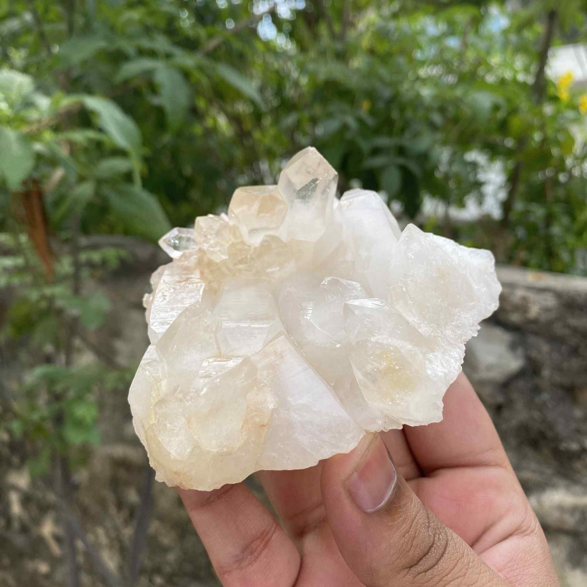 380g Himalayan White Quartz Natural Cluster Raw Collector Specimen