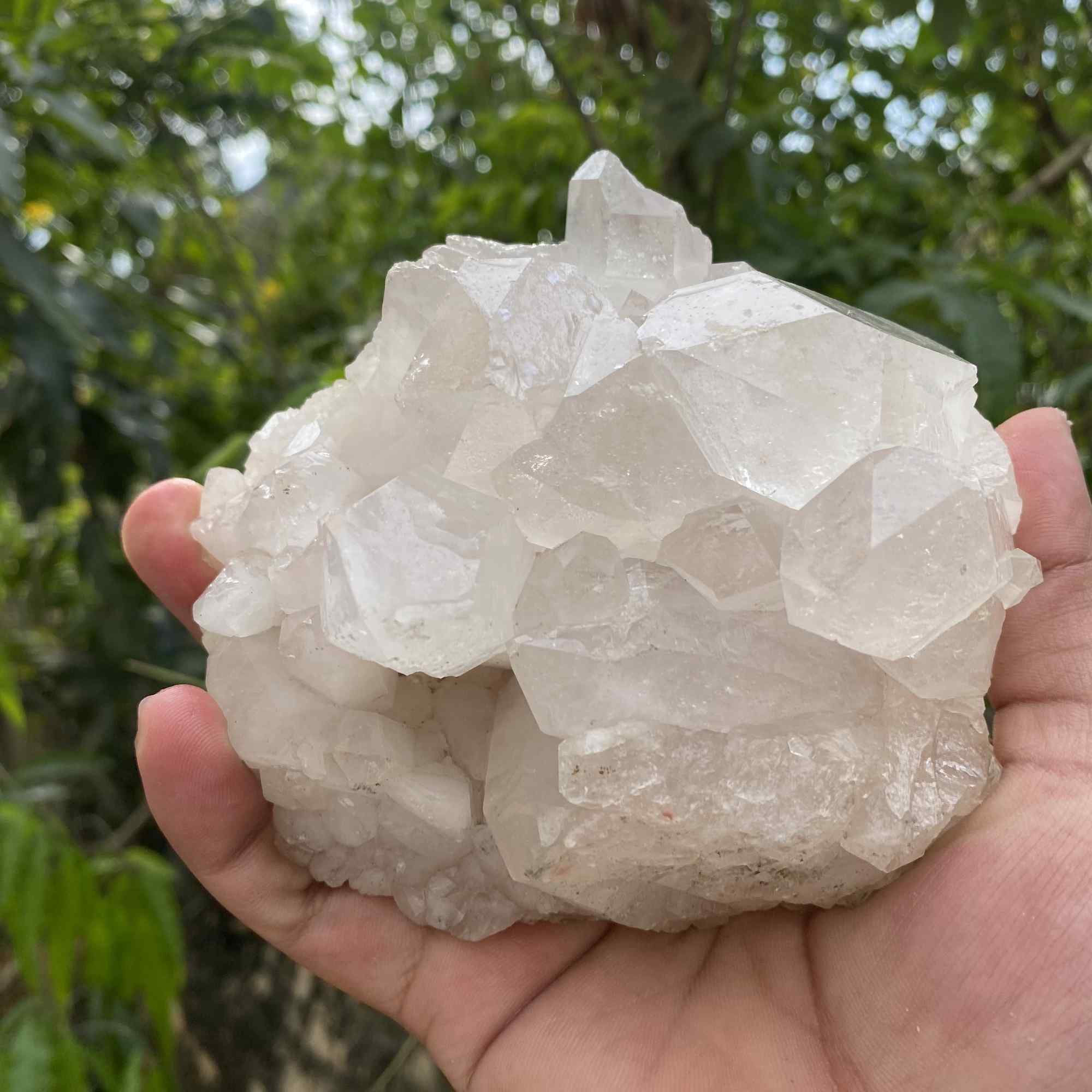 Raw Natural White Himalayan Quartz Display Cluster Mineral Collector