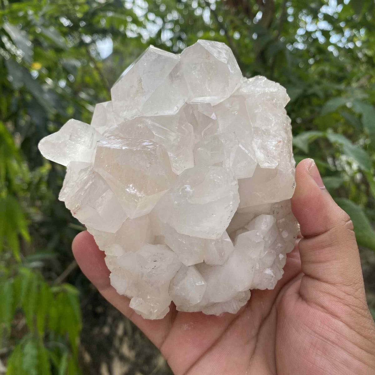 Raw Natural White Himalayan Quartz Display Cluster Mineral Collector