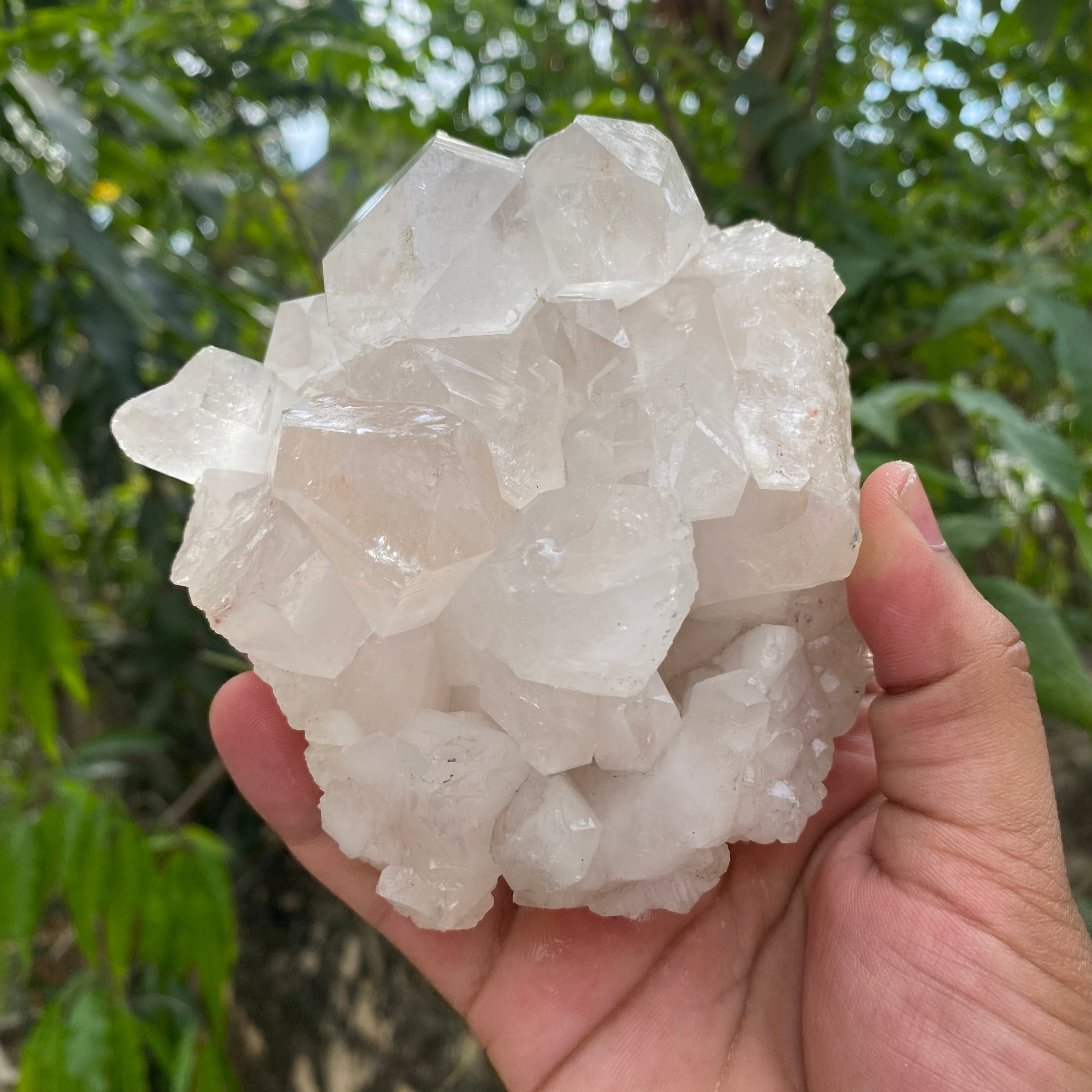 White Quartz Crystal Cluster Himalayan Healing Natural Energy Display Piece