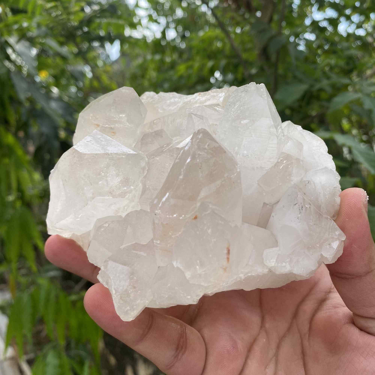 Raw Natural White Himalayan Quartz Display Cluster Mineral Collector