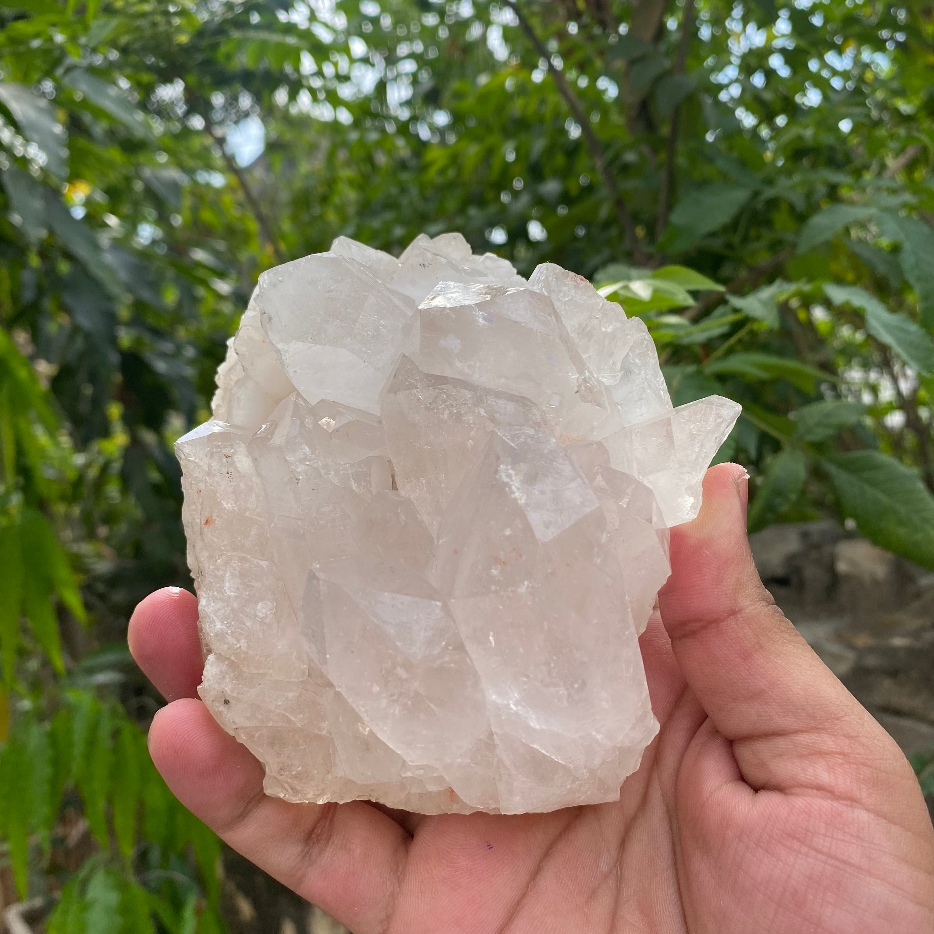 White Quartz Crystal Cluster Himalayan Healing Natural Energy Display Piece
