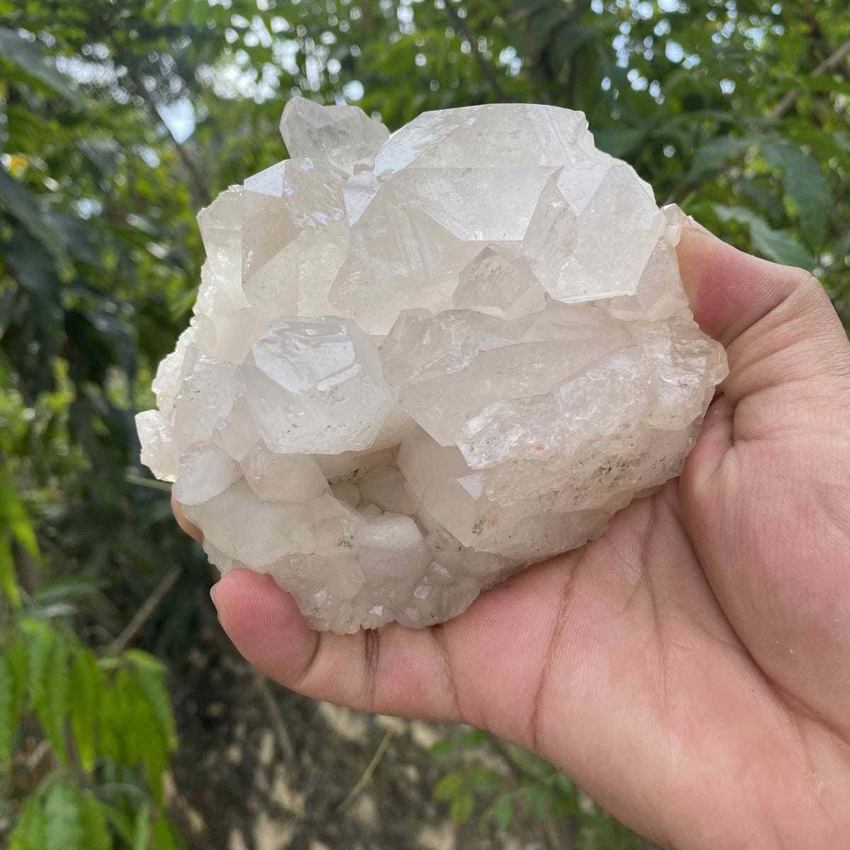 Raw Natural White Himalayan Quartz Display Cluster Mineral Collector
