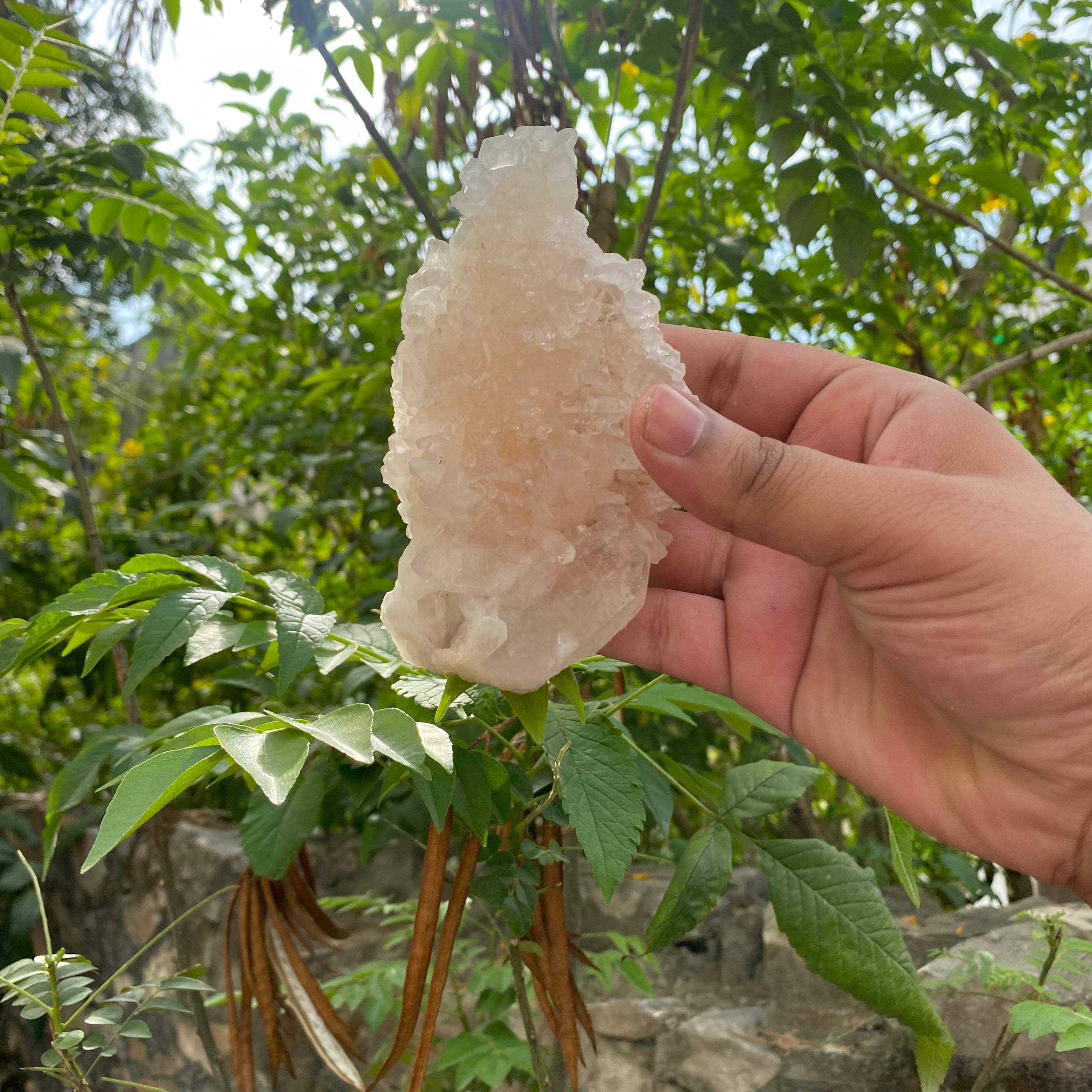 Pink Himalayan Quartz Crystal Cluster Healing Energy Natural Display Stone