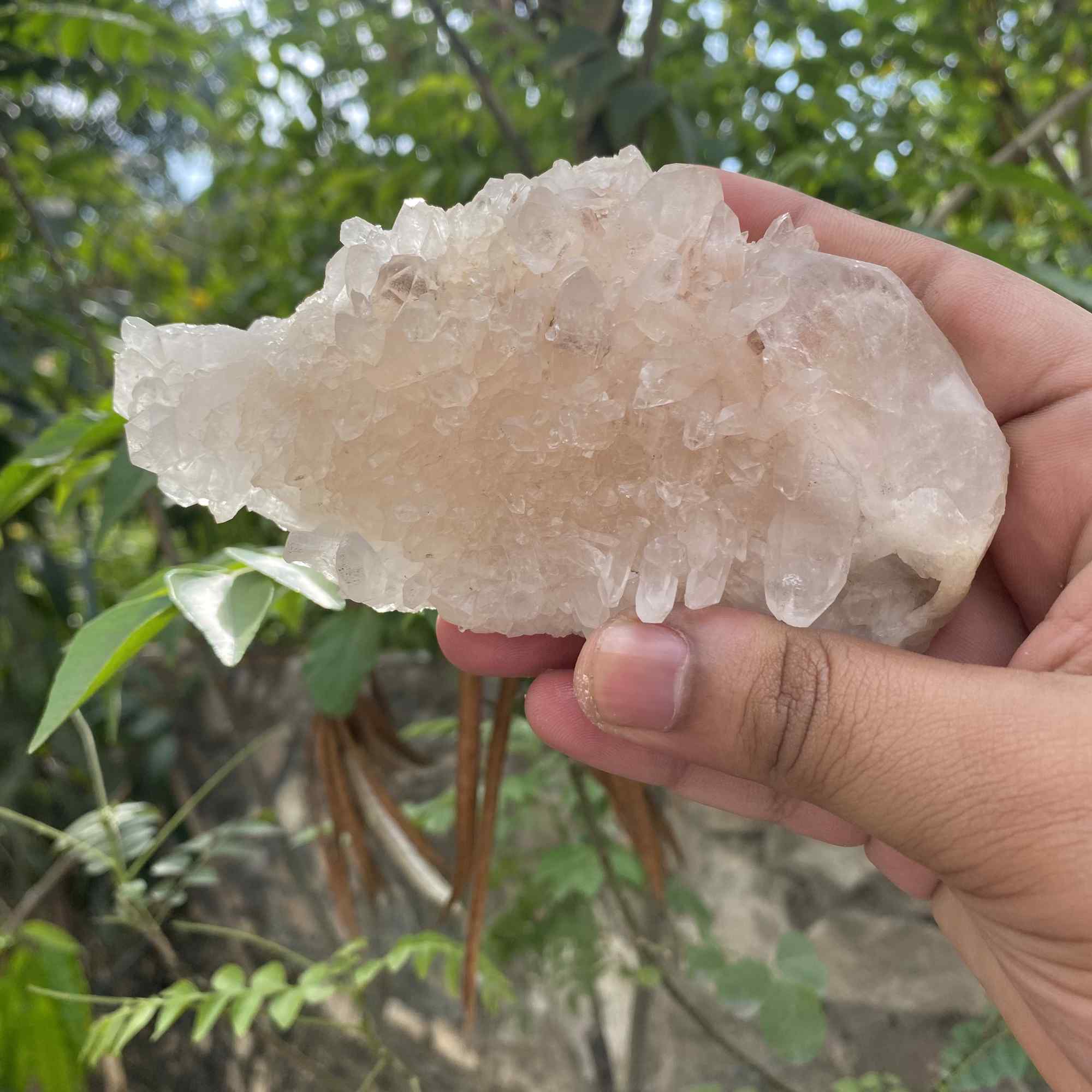 Himalayan Pink Quartz Raw Display Natural Cluster Collector Mineral