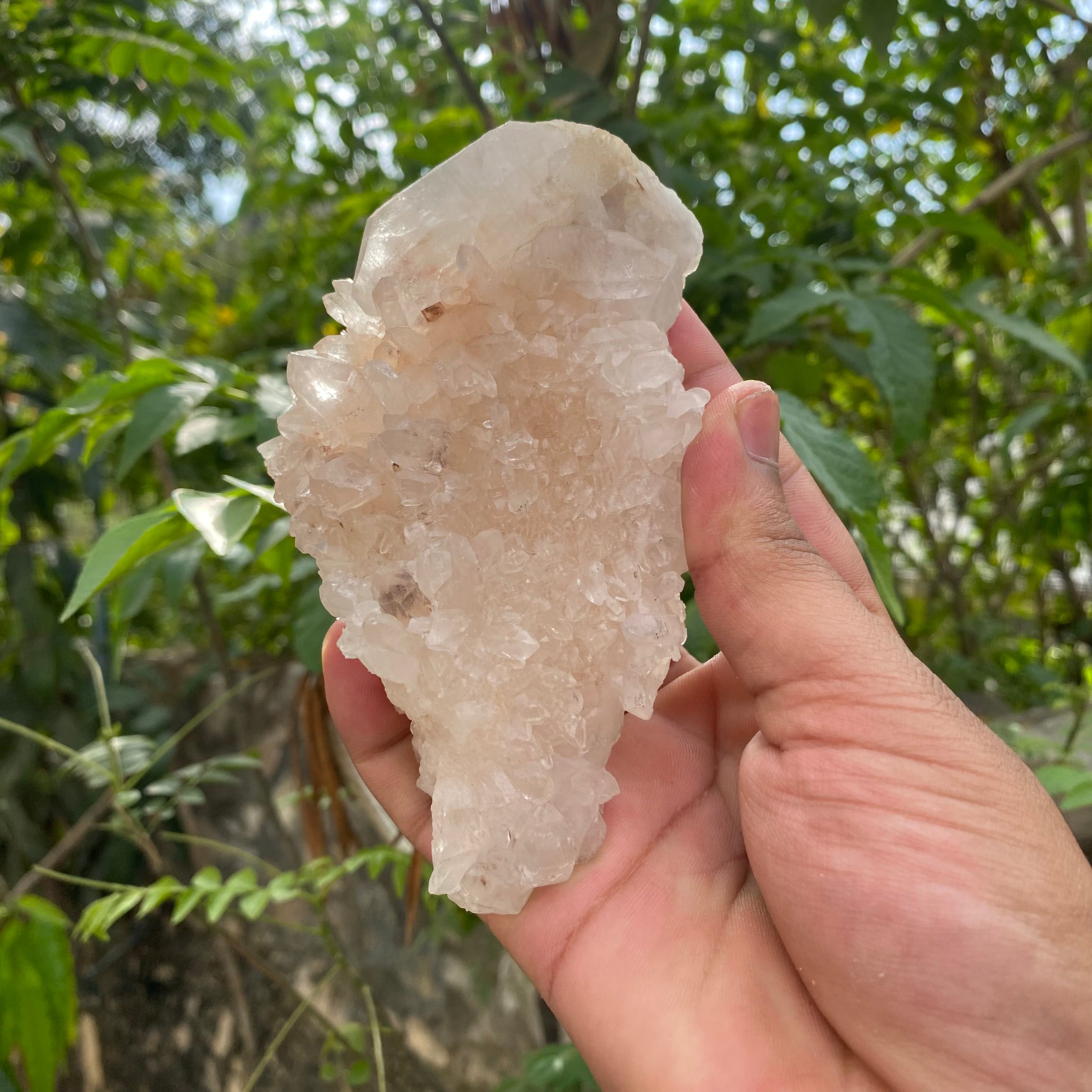 Pink Himalayan Quartz Crystal Cluster Healing Energy Natural Display Stone