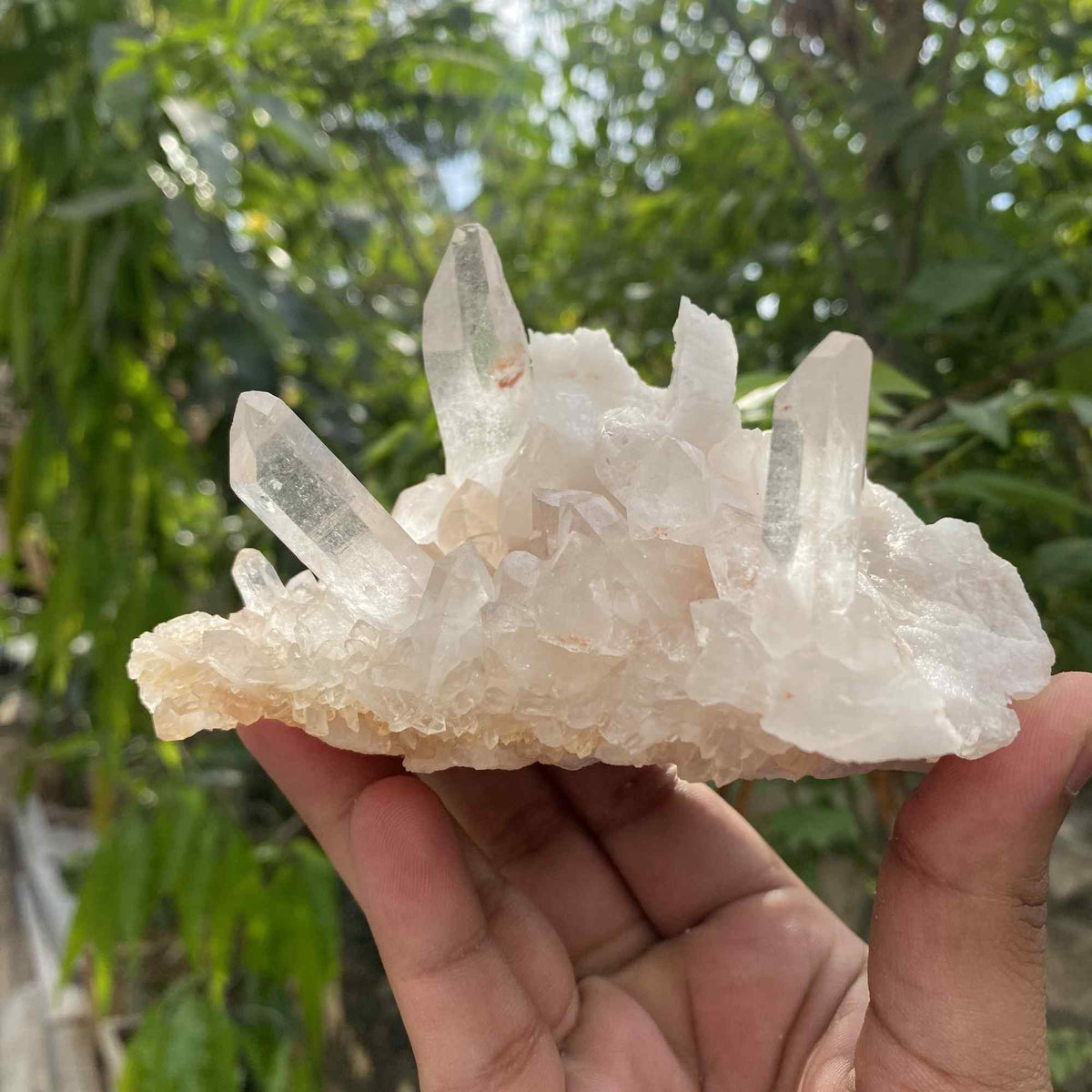 Pink Quartz Collector Natural Himalayan Cluster Raw Display Specimen