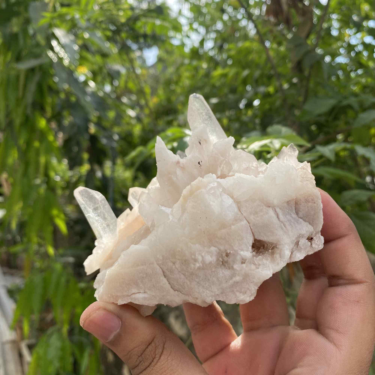 Pink Quartz Collector Natural Himalayan Cluster Raw Display Specimen