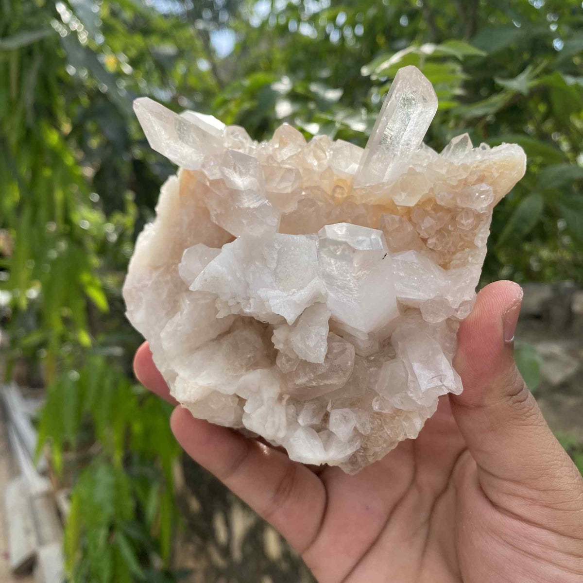 Pink Quartz Collector Natural Himalayan Cluster Raw Display Specimen