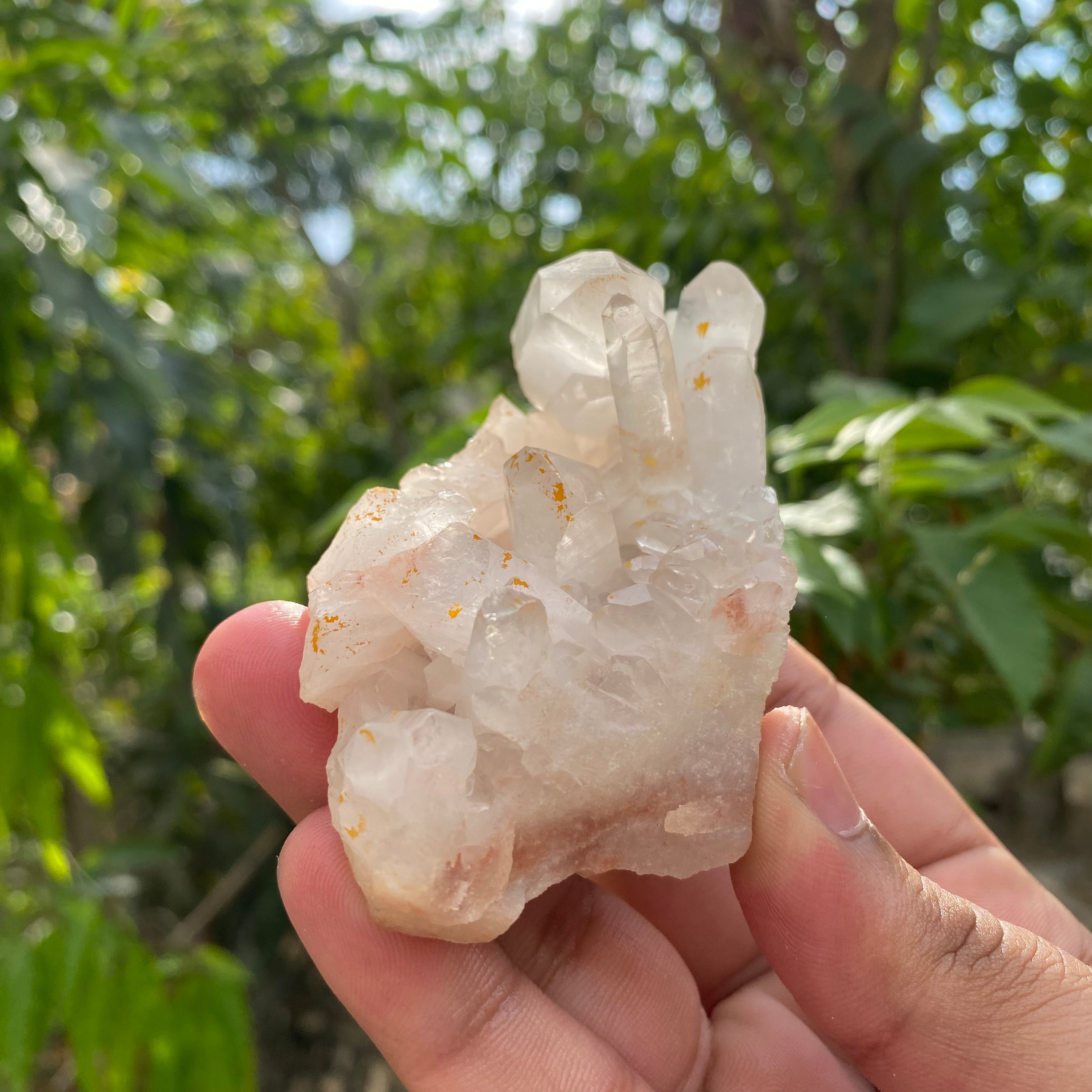 White Himalayan Quartz Samadhi Raw Crystal Mineral Cluster Healing Display Piece