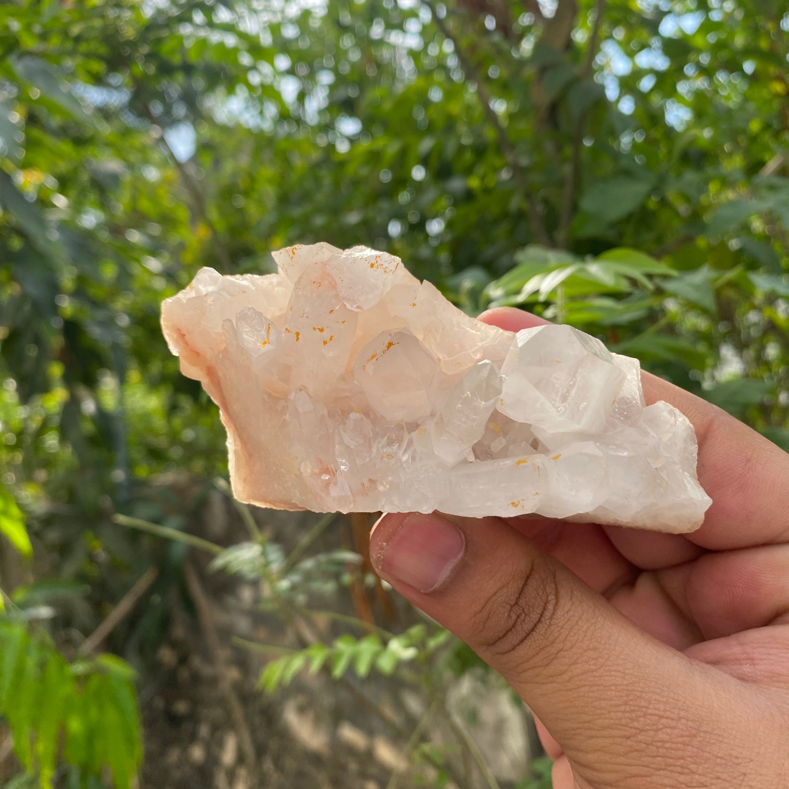 White Himalayan Quartz Samadhi Raw Crystal Mineral Cluster Healing Display Piece