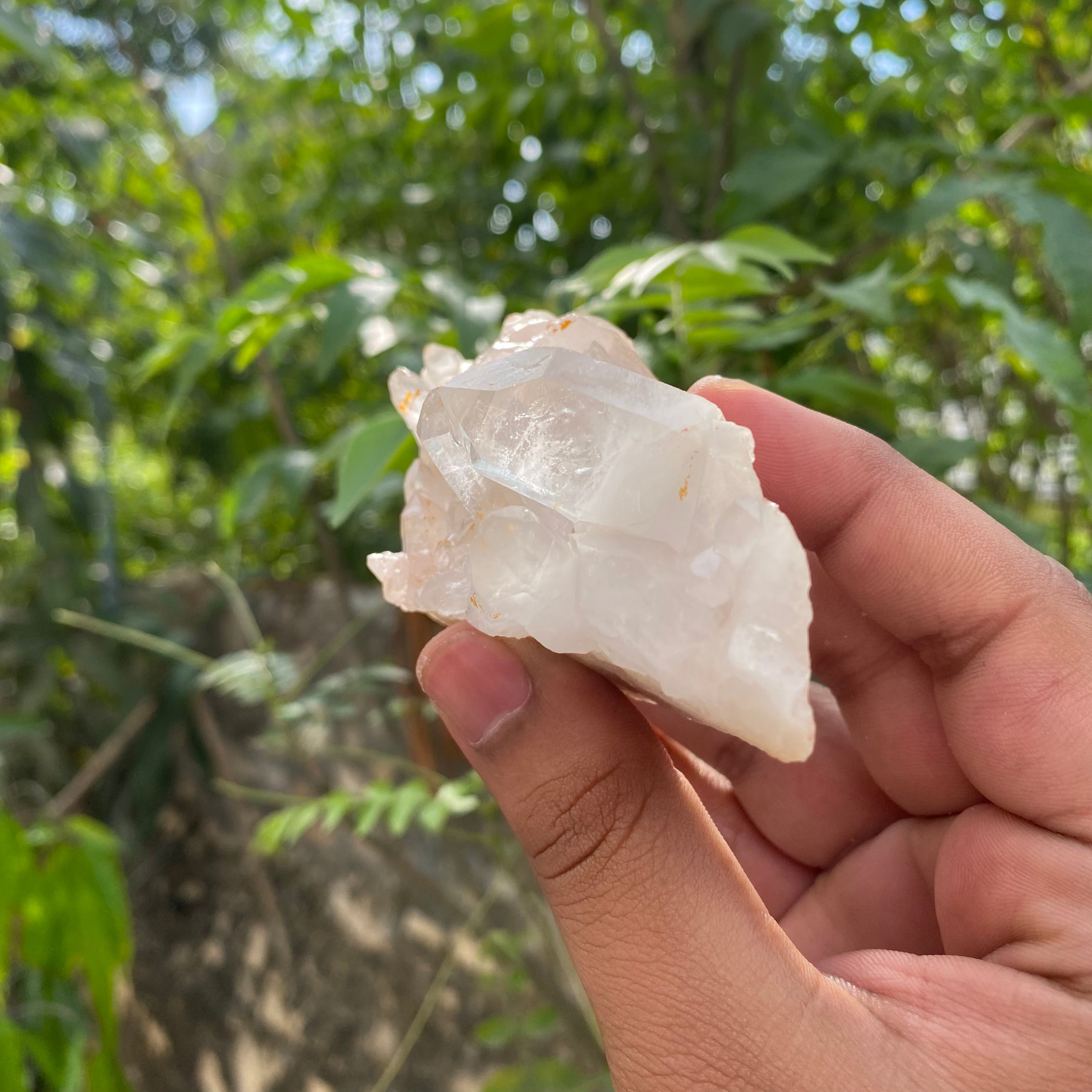 White Himalayan Quartz Samadhi Raw Crystal Mineral Cluster Healing Display Piece
