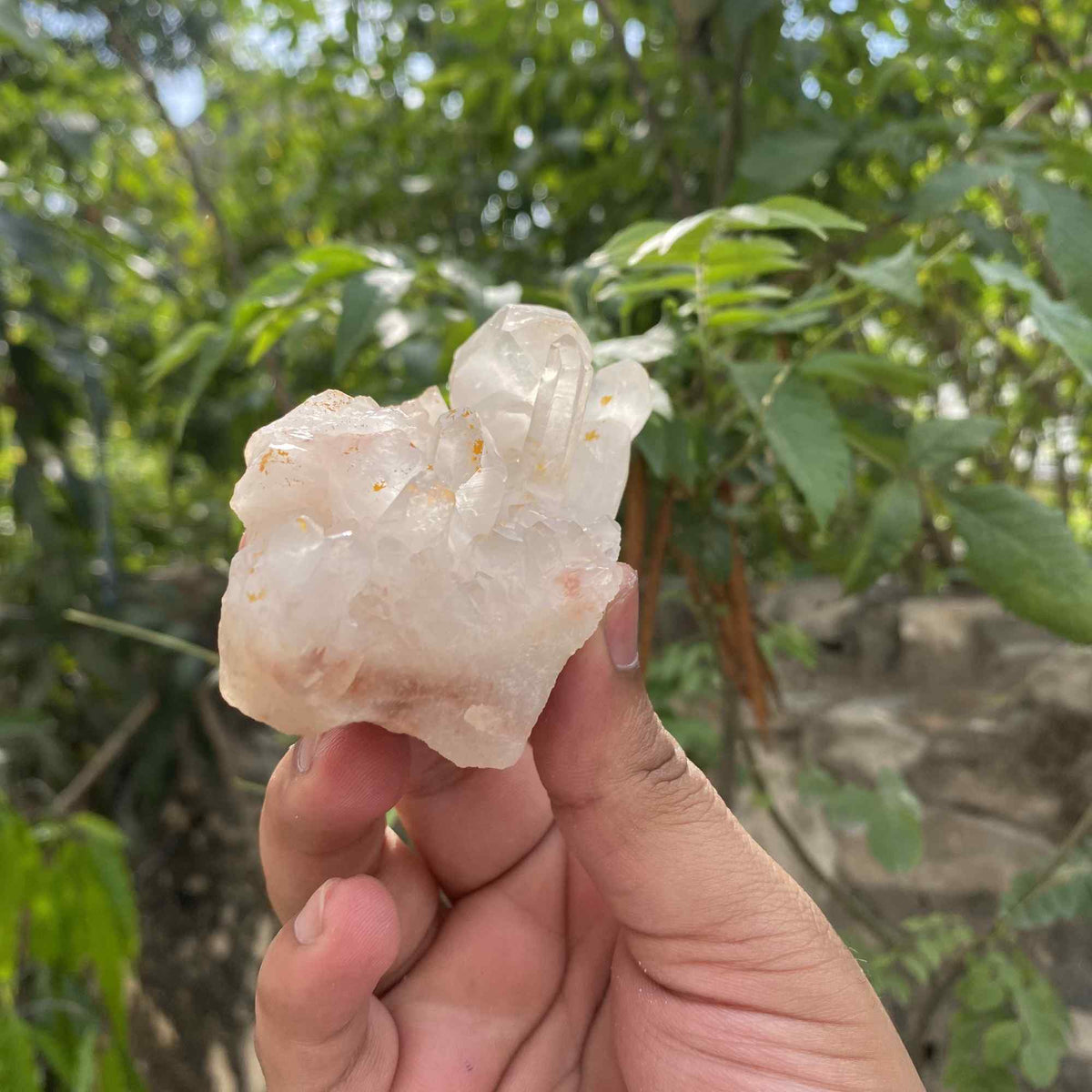 Himalayan White Quartz Natural Cluster 170g Raw Collector Specimen