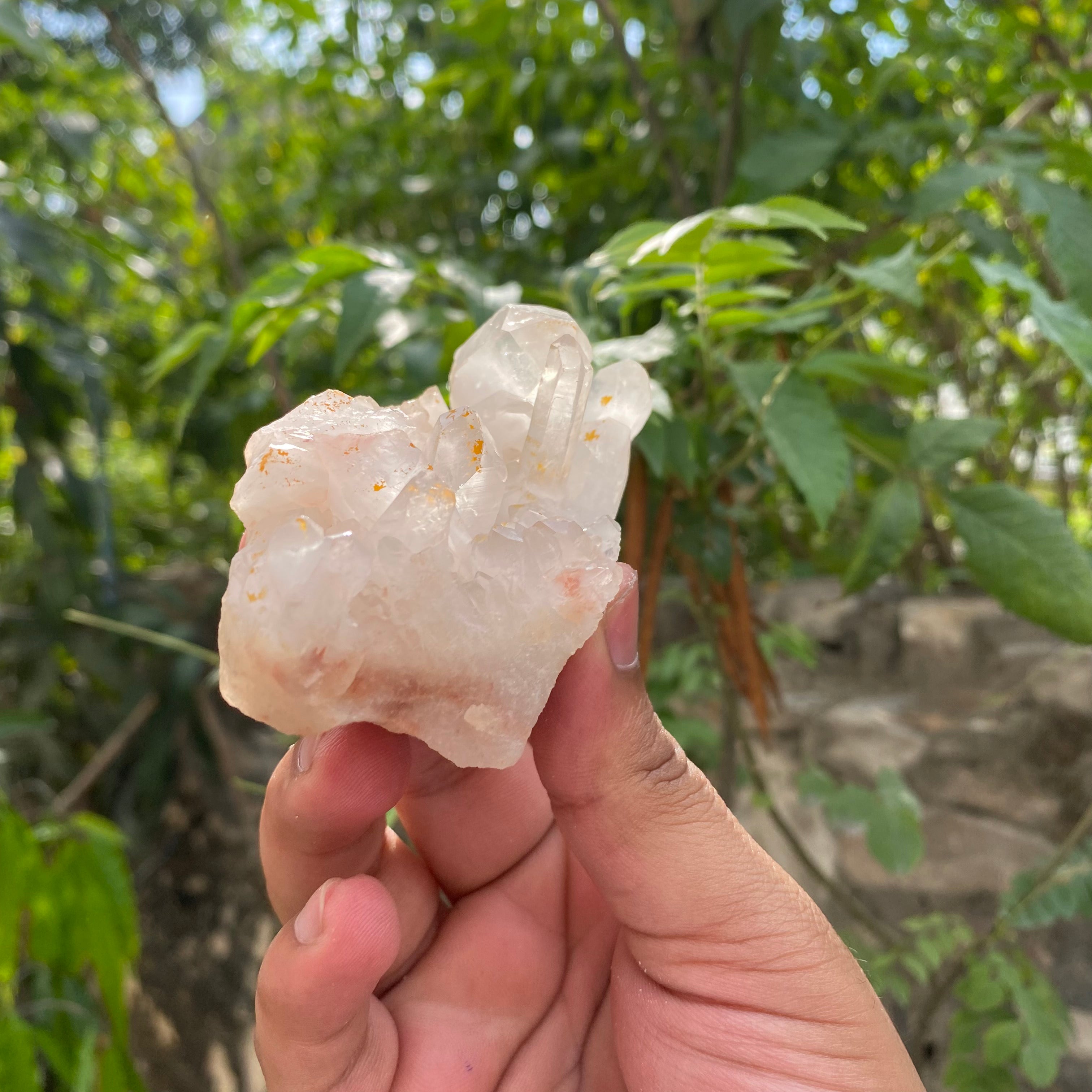 White Himalayan Quartz Samadhi Raw Crystal Mineral Cluster Healing Display Piece