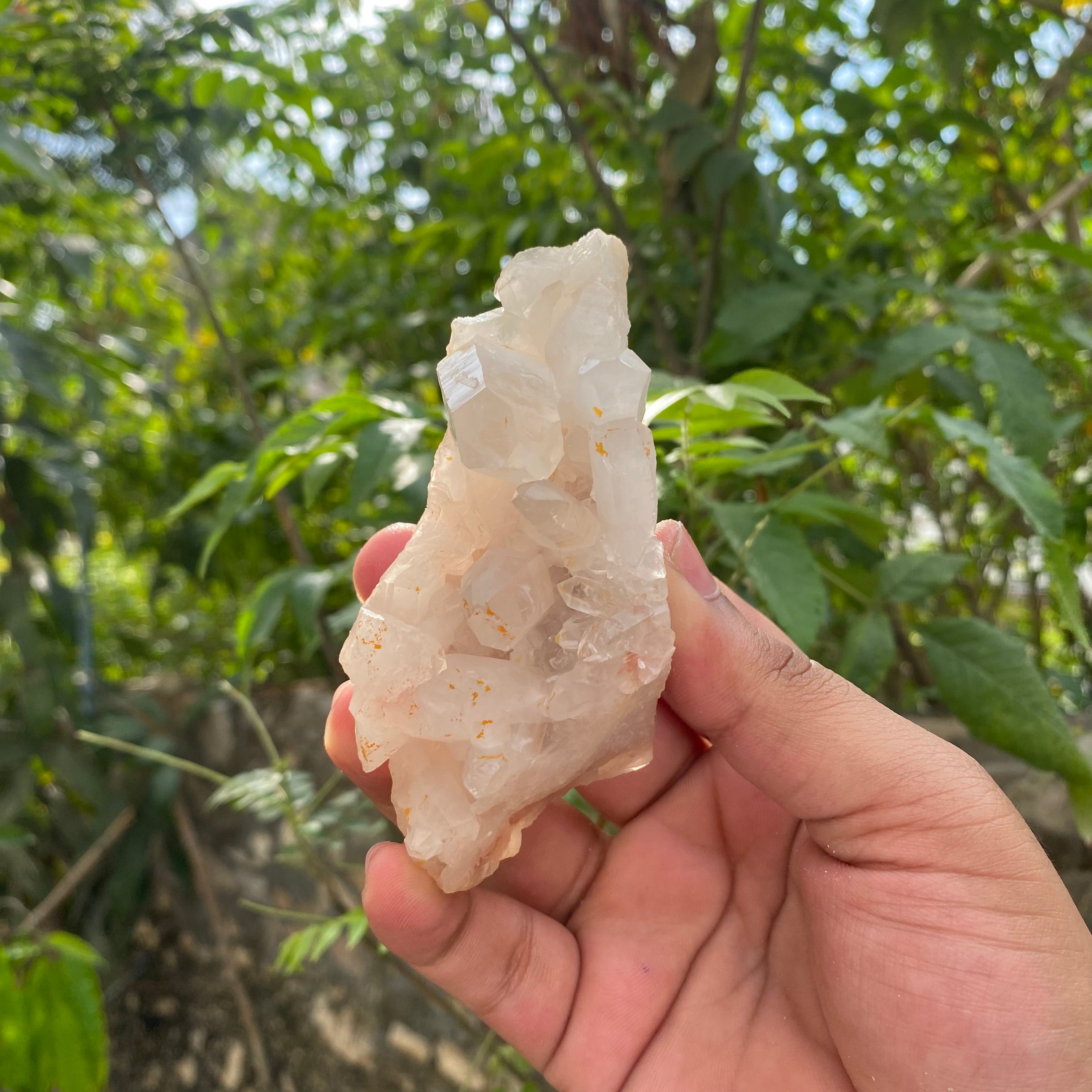 White Himalayan Quartz Samadhi Raw Crystal Mineral Cluster Healing Display Piece