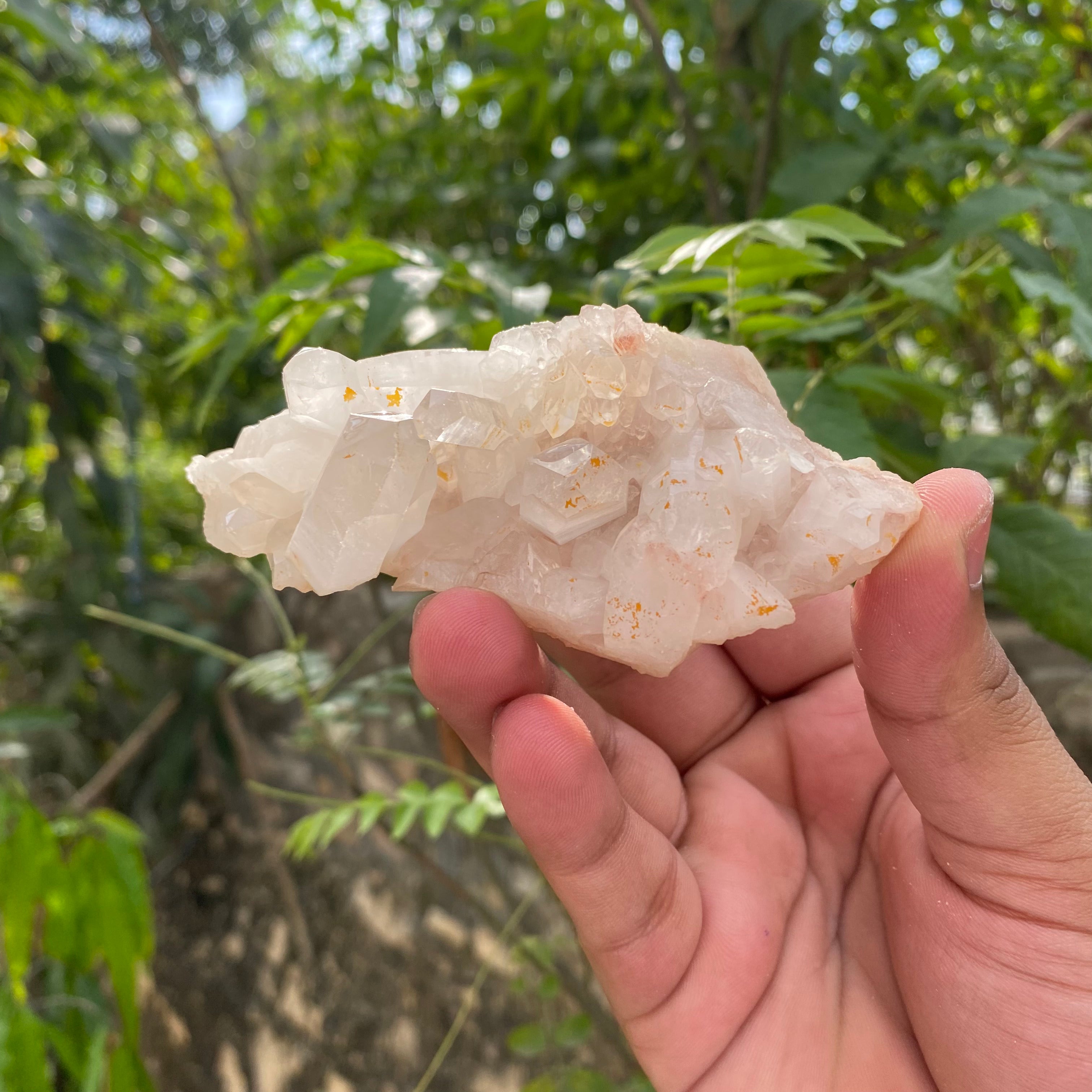 White Himalayan Quartz Samadhi Raw Crystal Mineral Cluster Healing Display Piece