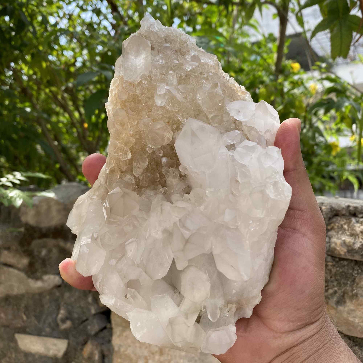 1125g White Yellow Himalayan Quartz Cluster Natural Collector Specimen