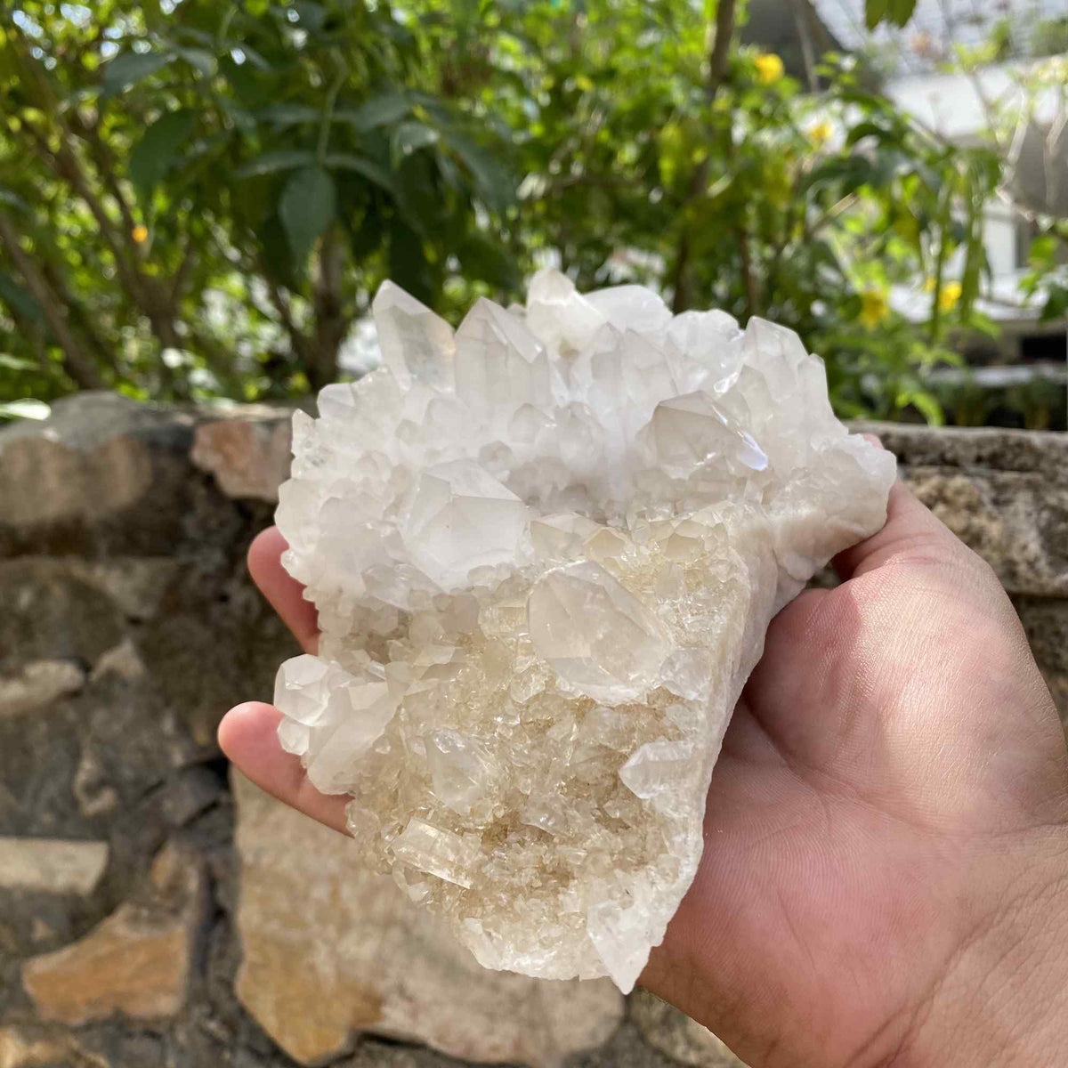 1125g White Yellow Himalayan Quartz Cluster Natural Collector Specimen