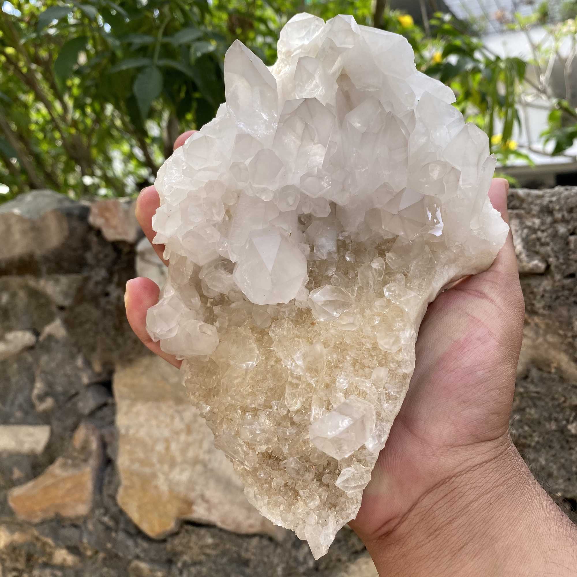 1125g White Yellow Himalayan Quartz Cluster Natural Collector Specimen
