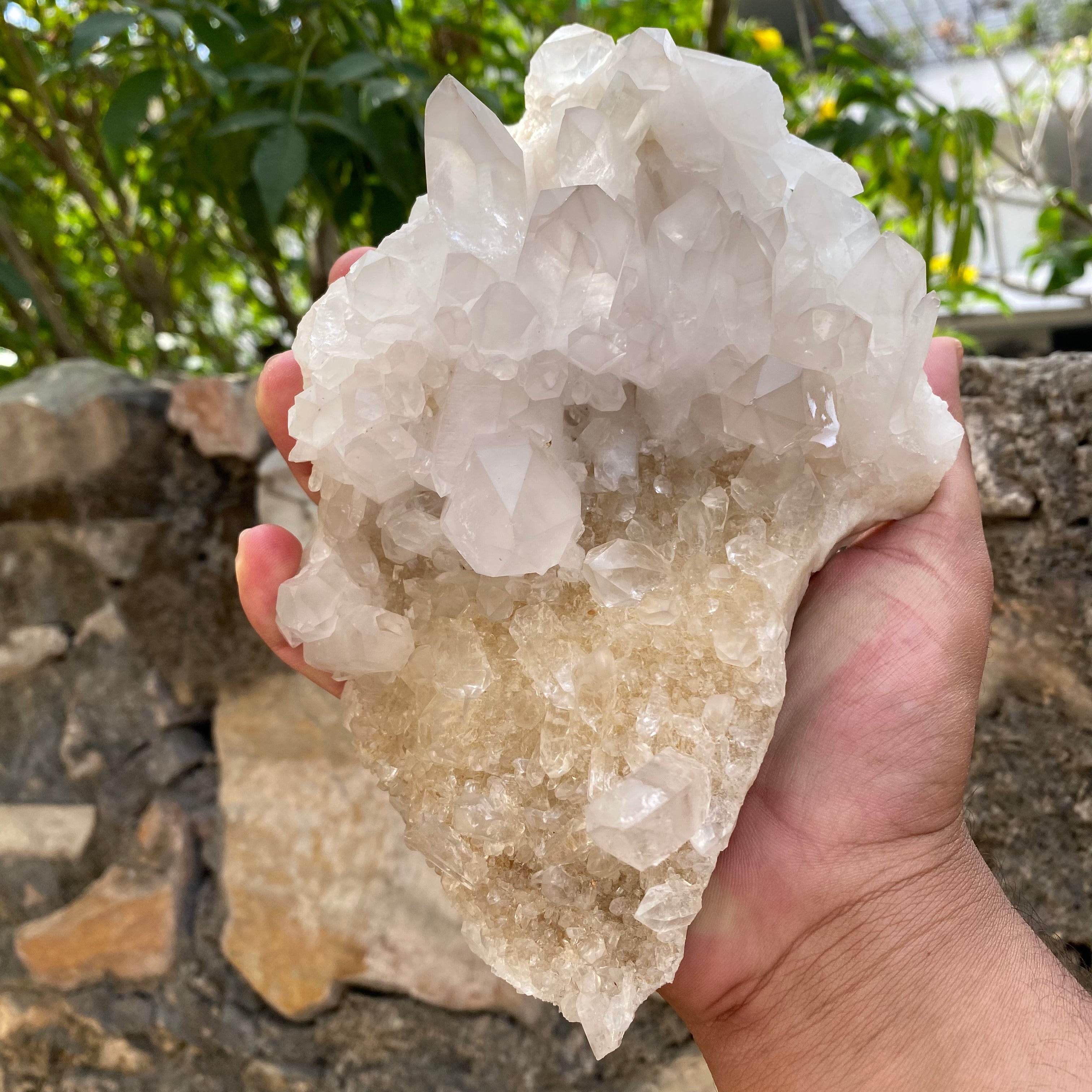 Natural Himalayan White & Yellow Quartz Cluster 1125g