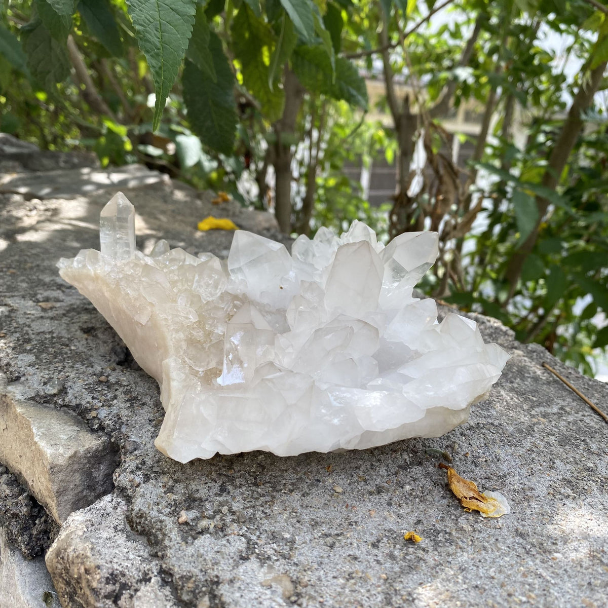 1125g White Yellow Himalayan Quartz Cluster Natural Collector Specimen