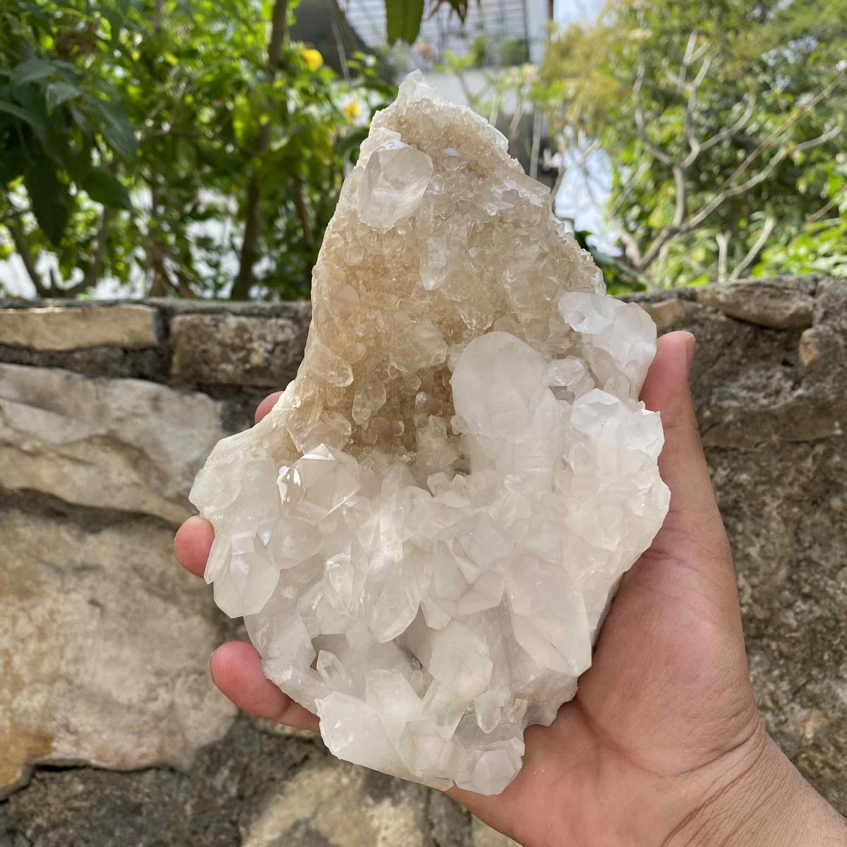 1125g White Yellow Himalayan Quartz Cluster Natural Collector Specimen