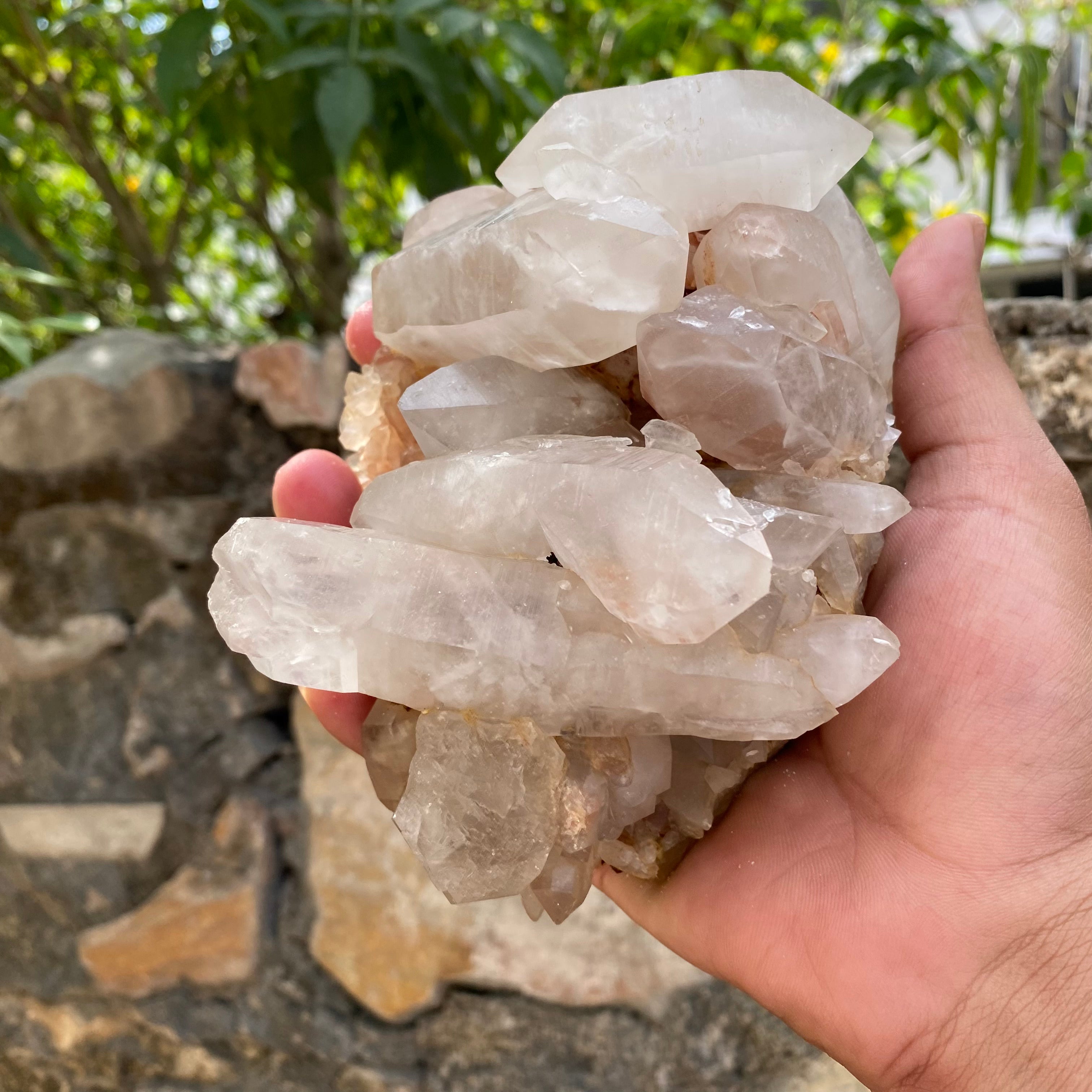 Large Pink Quartz Crystal Cluster 970g Natural Himalayan Raw Healing Stone Mineral Specimen Statement Décor