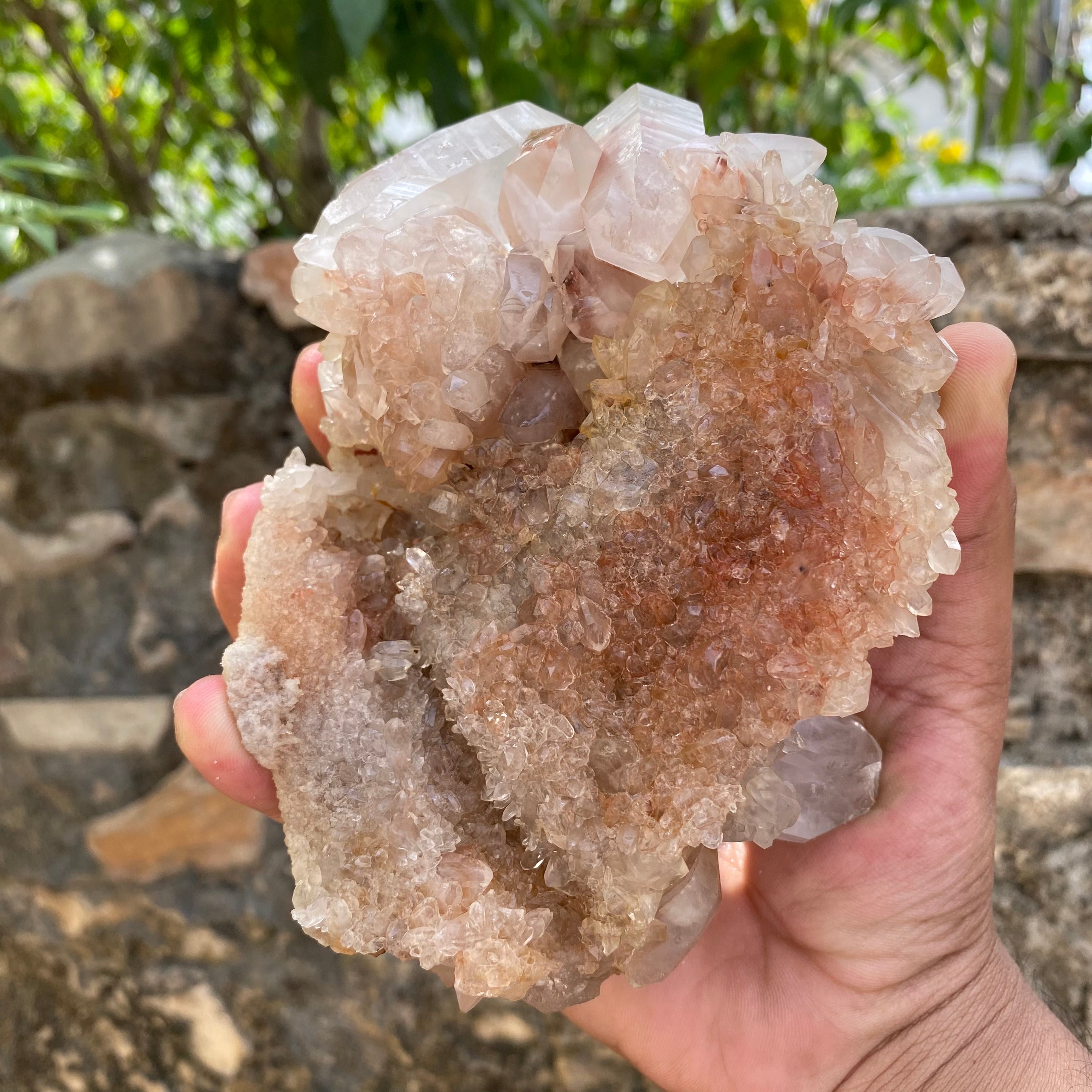 Large Pink Quartz Crystal Cluster 970g Natural Himalayan Raw Healing Stone Mineral Specimen Statement Décor
