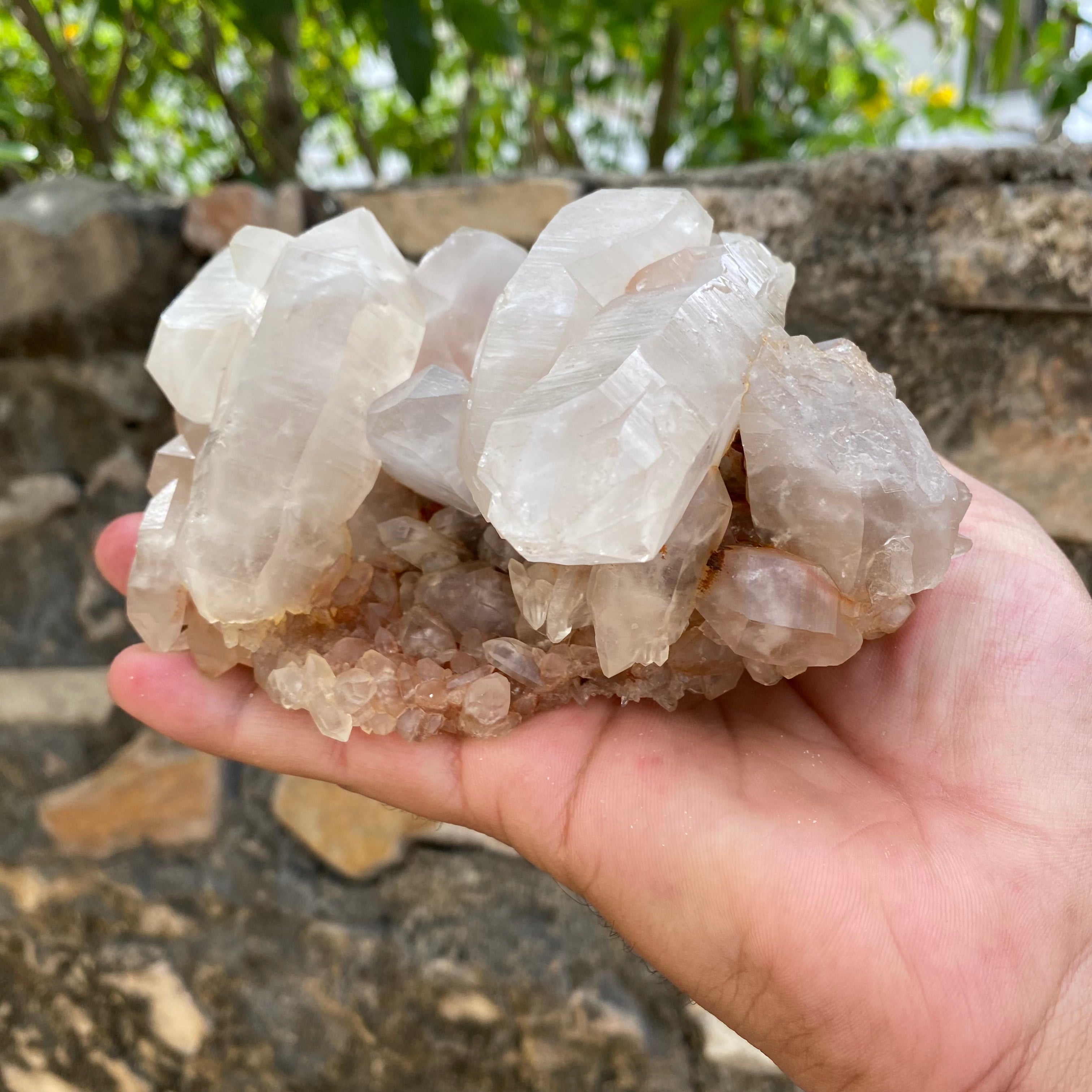 Large Pink Quartz Crystal Cluster 970g Natural Himalayan Raw Healing Stone Mineral Specimen Statement Décor