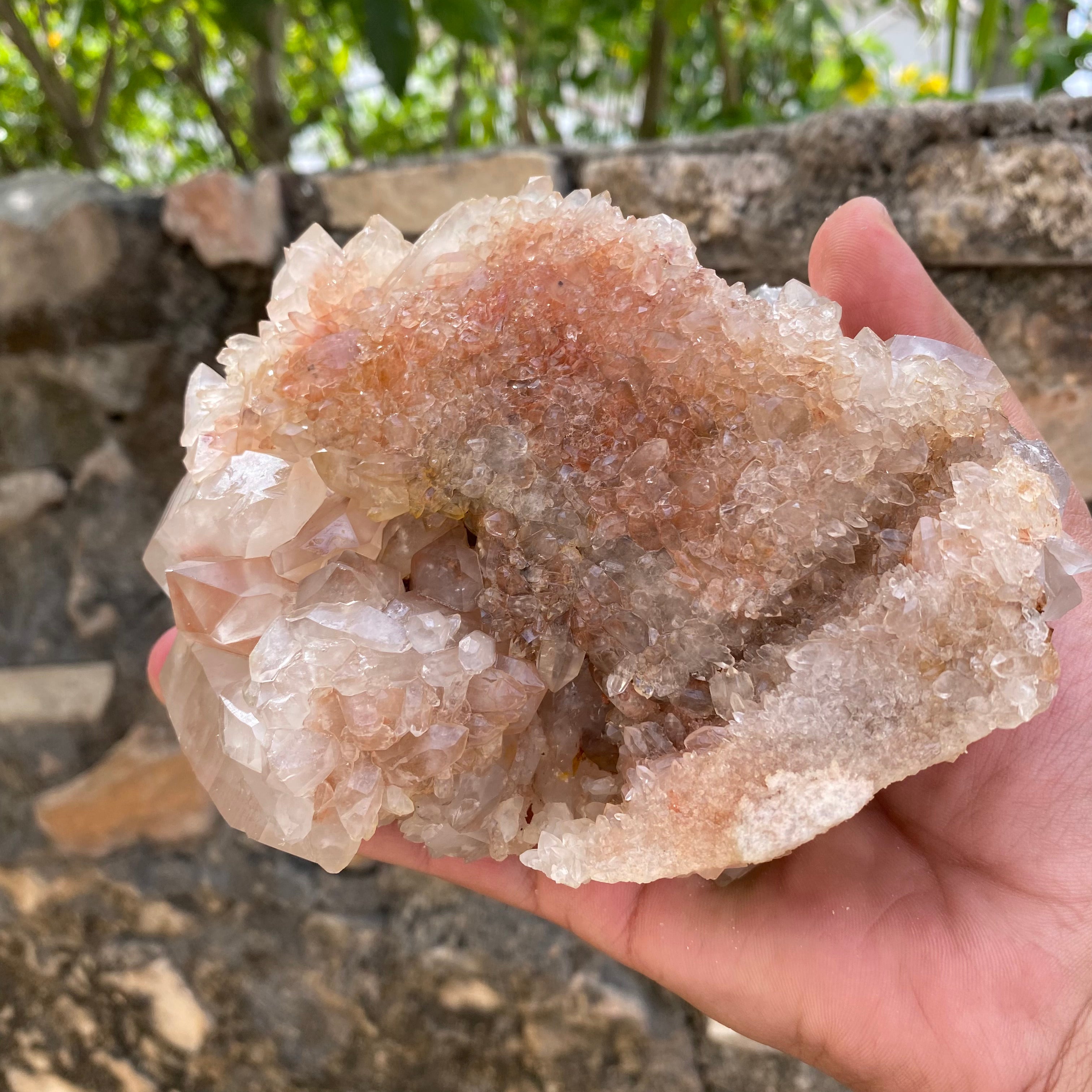 Large Pink Quartz Crystal Cluster 970g Natural Himalayan Raw Healing Stone Mineral Specimen Statement Décor