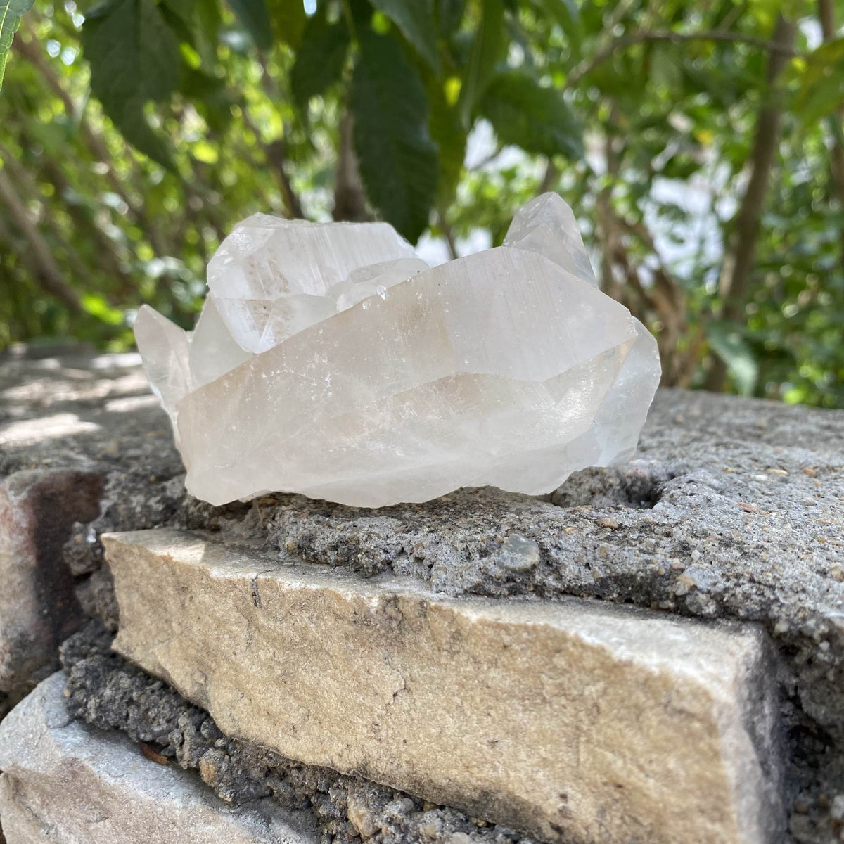 Himalayan White Quartz Collector Cluster Raw Natural Mineral Display