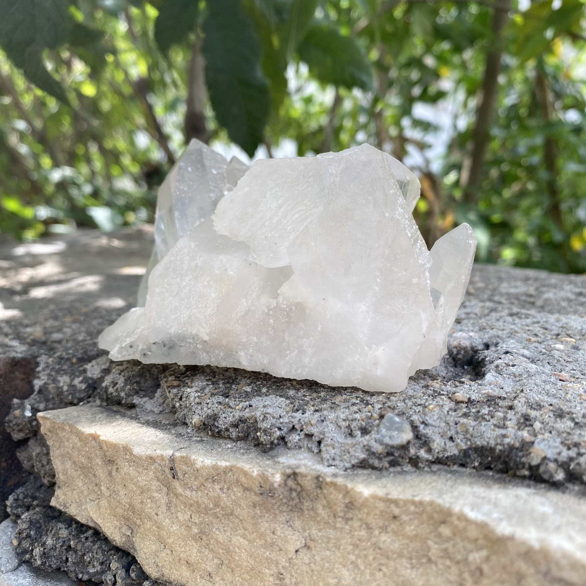Crystal formation on a stone surface with greenery in the background
