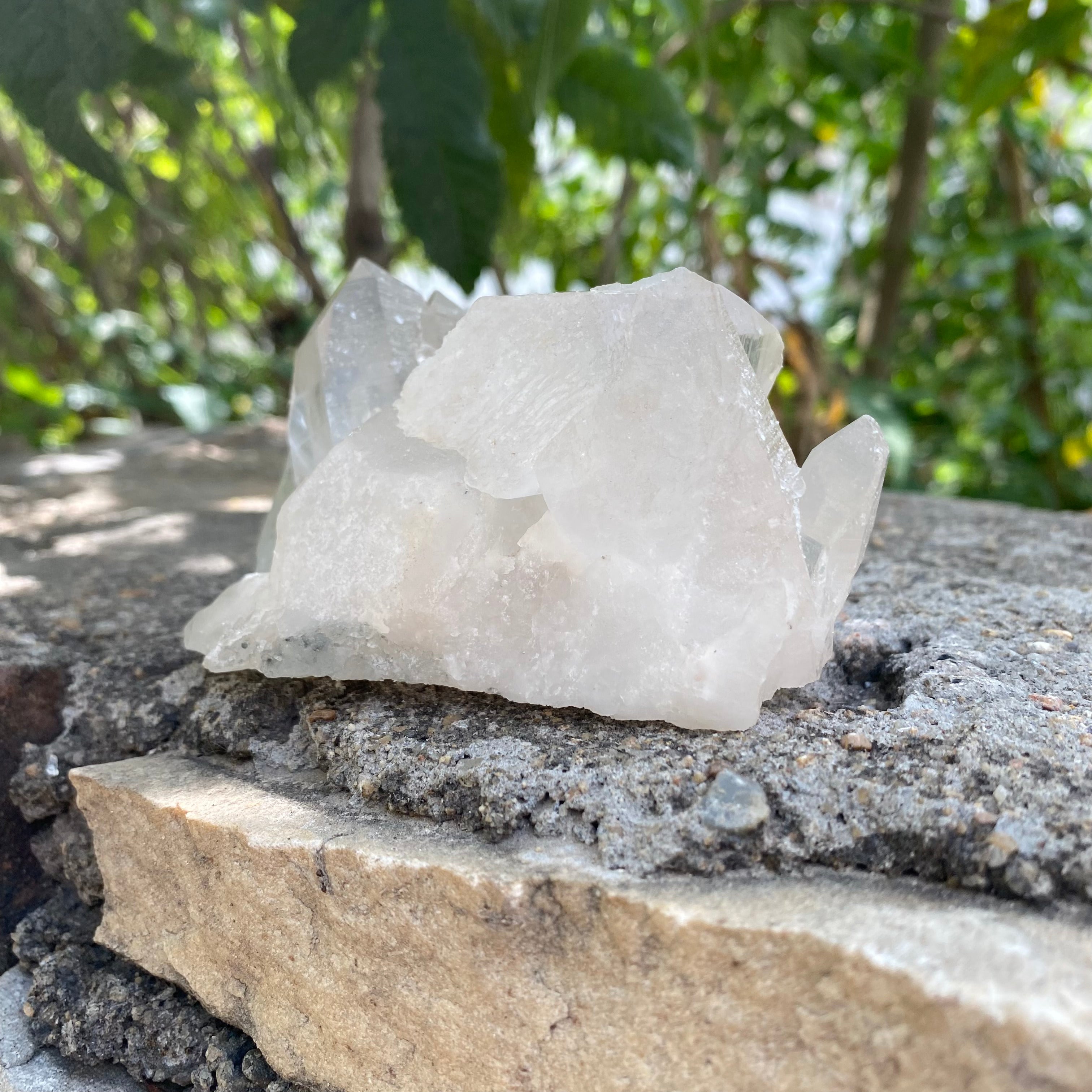 Crystal formation on a stone surface with greenery in the background