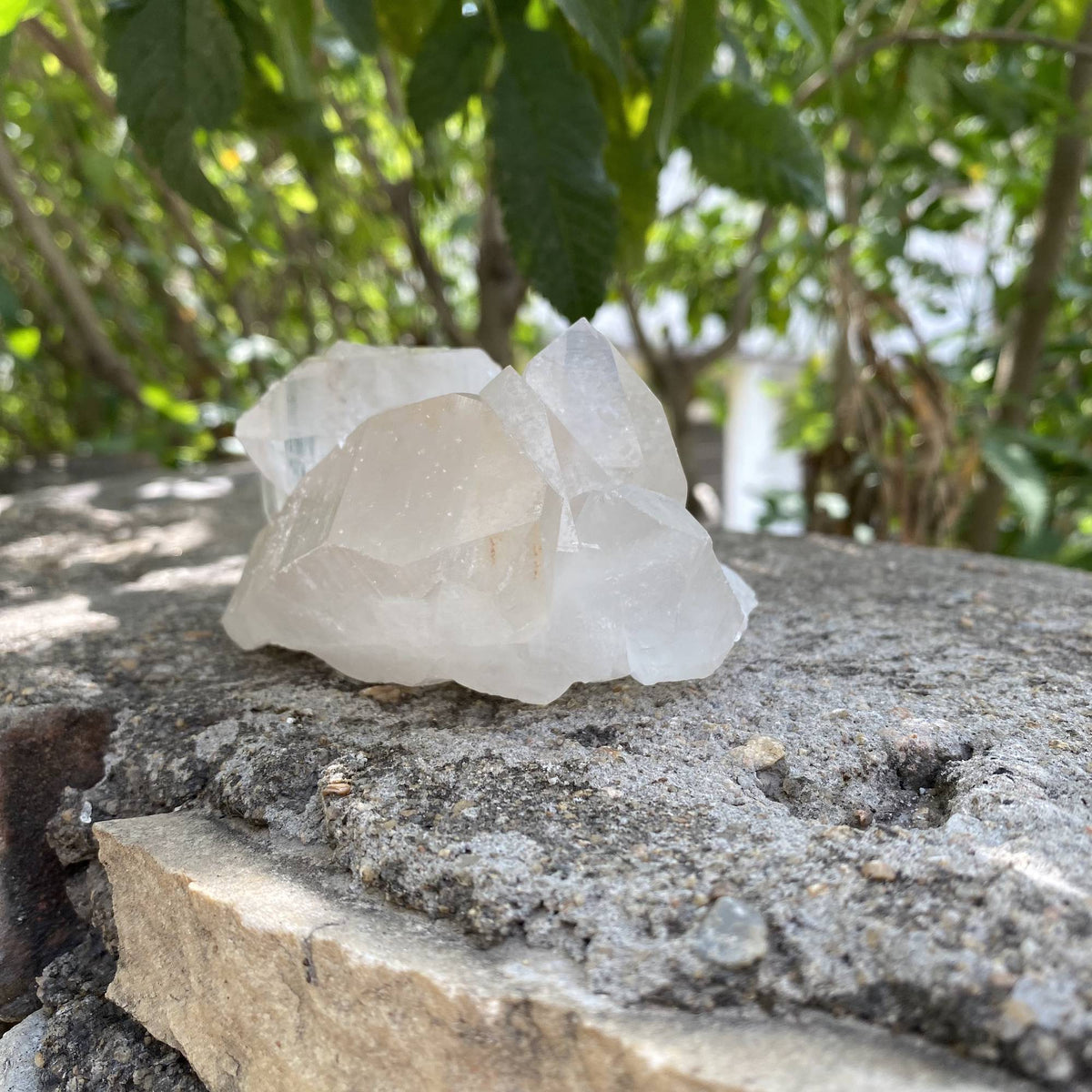 Himalayan White Quartz Collector Cluster Raw Natural Mineral Display