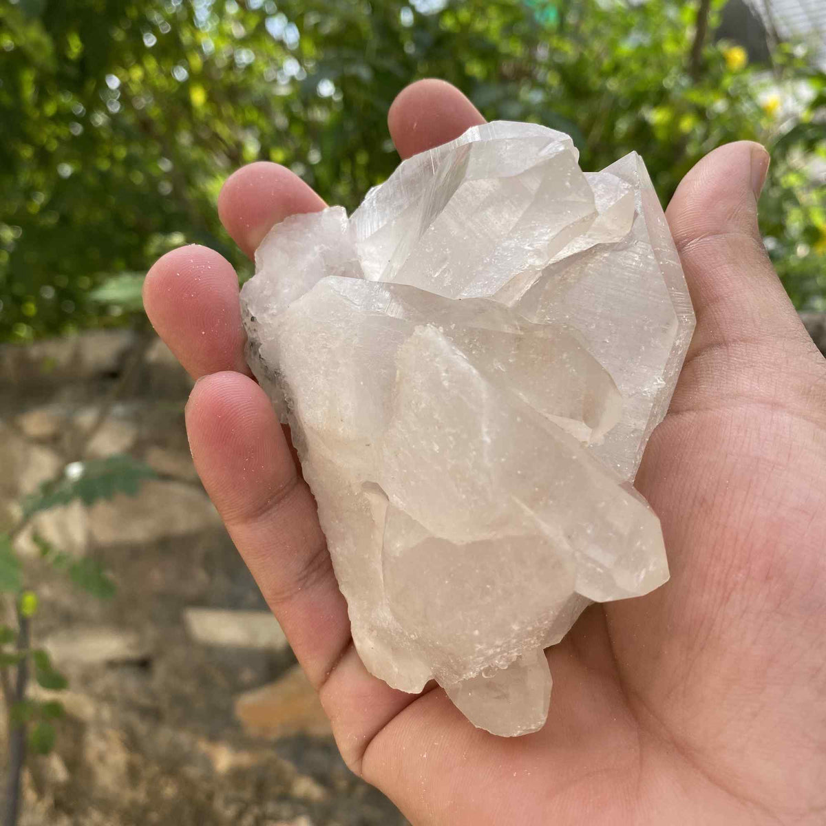 Himalayan White Quartz Collector Cluster Raw Natural Mineral Display