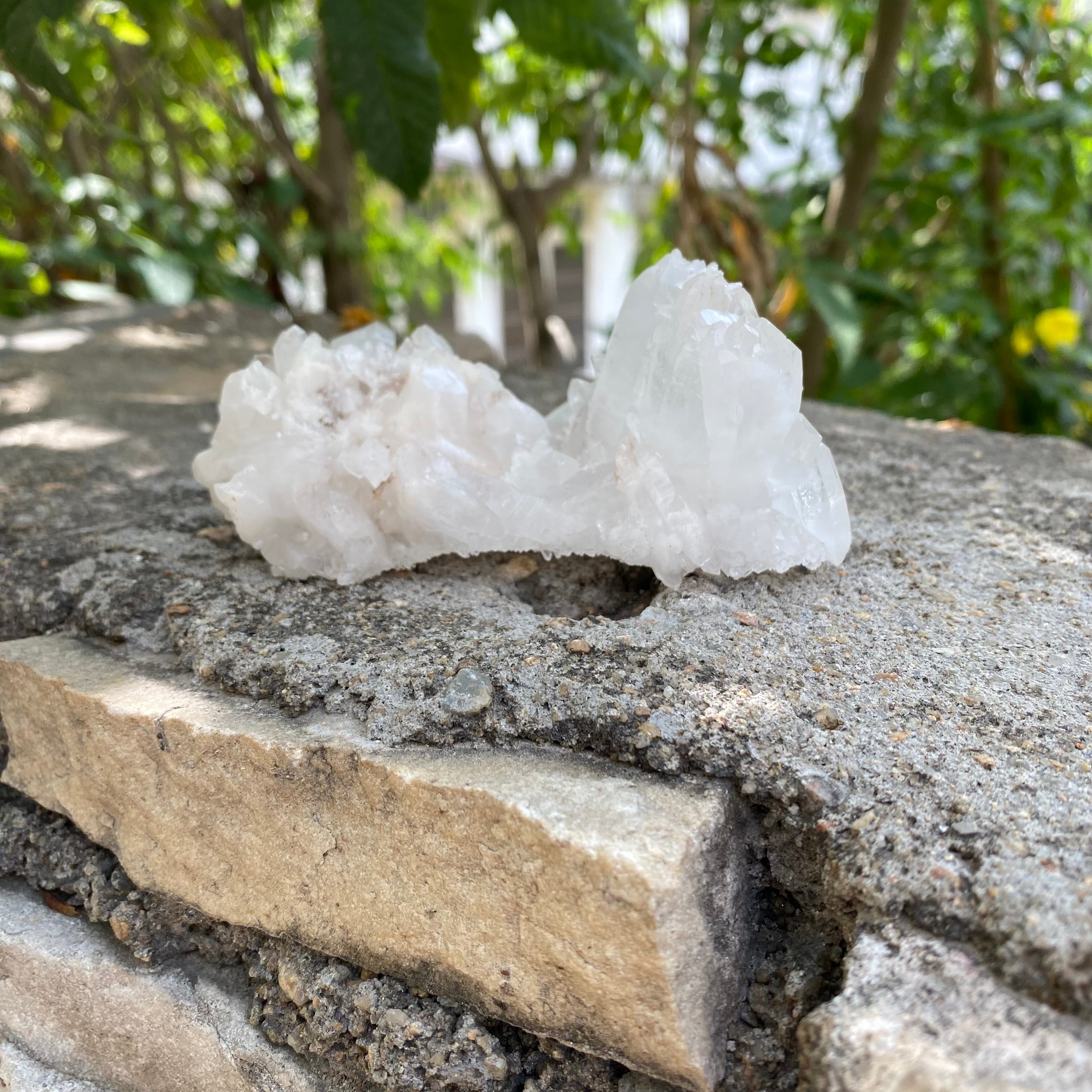 White Samadhi Quartz Himalayan Raw Crystal Cluster Healing Display Collector Piece
